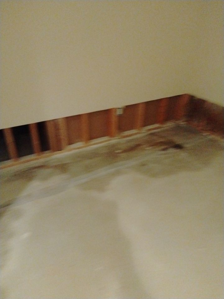 Pipe Burst Emergency Mitigation Demo and Dry Down by Absolute Roofing and Construction
