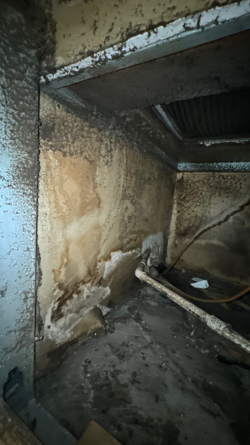 Commercial Air Duct Cleaning in Tavares by Hygienic Air, Inc