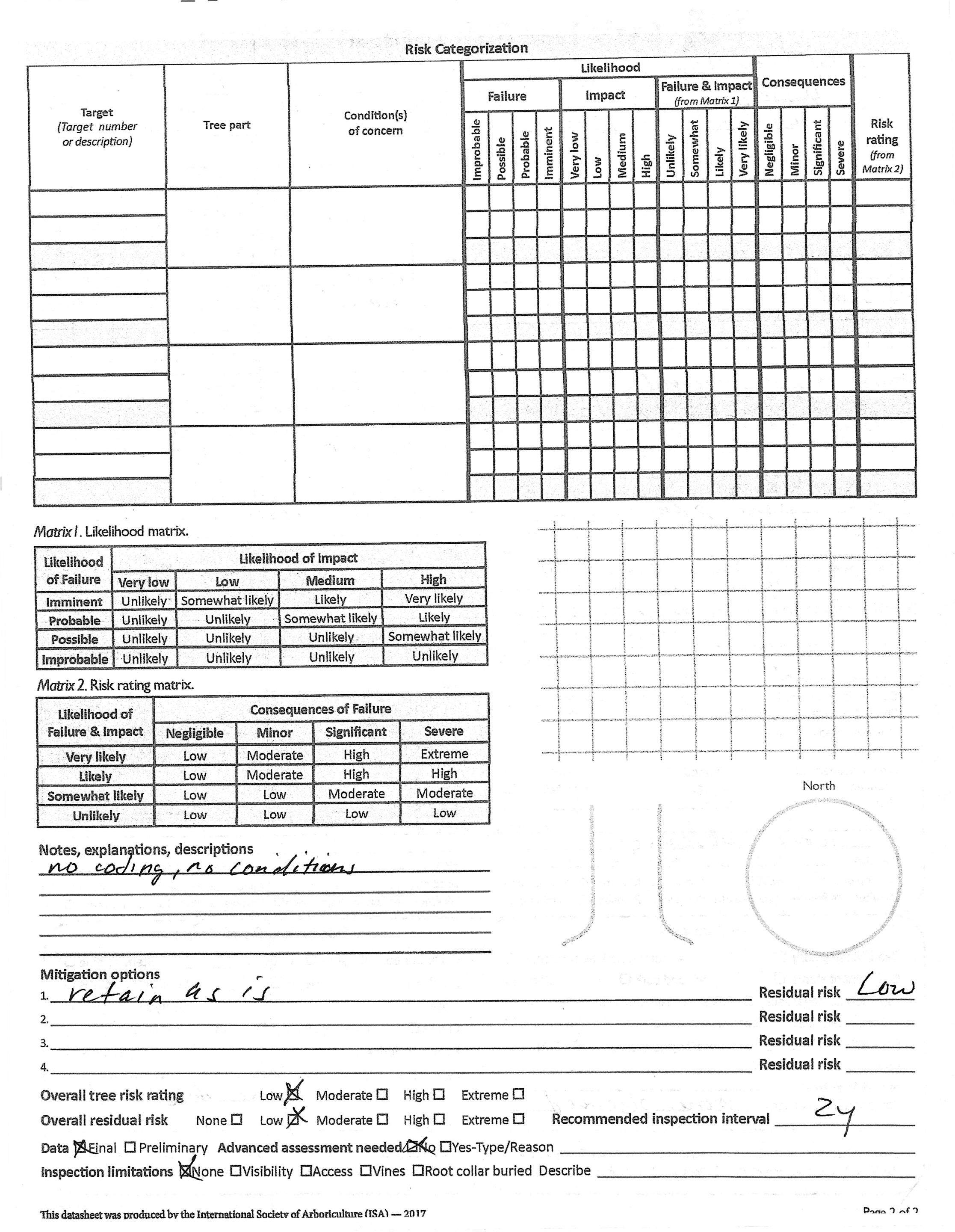 🧾 Arborist Letter for Code Violation Correction – Renton, WA by Sound Tree Care LLC