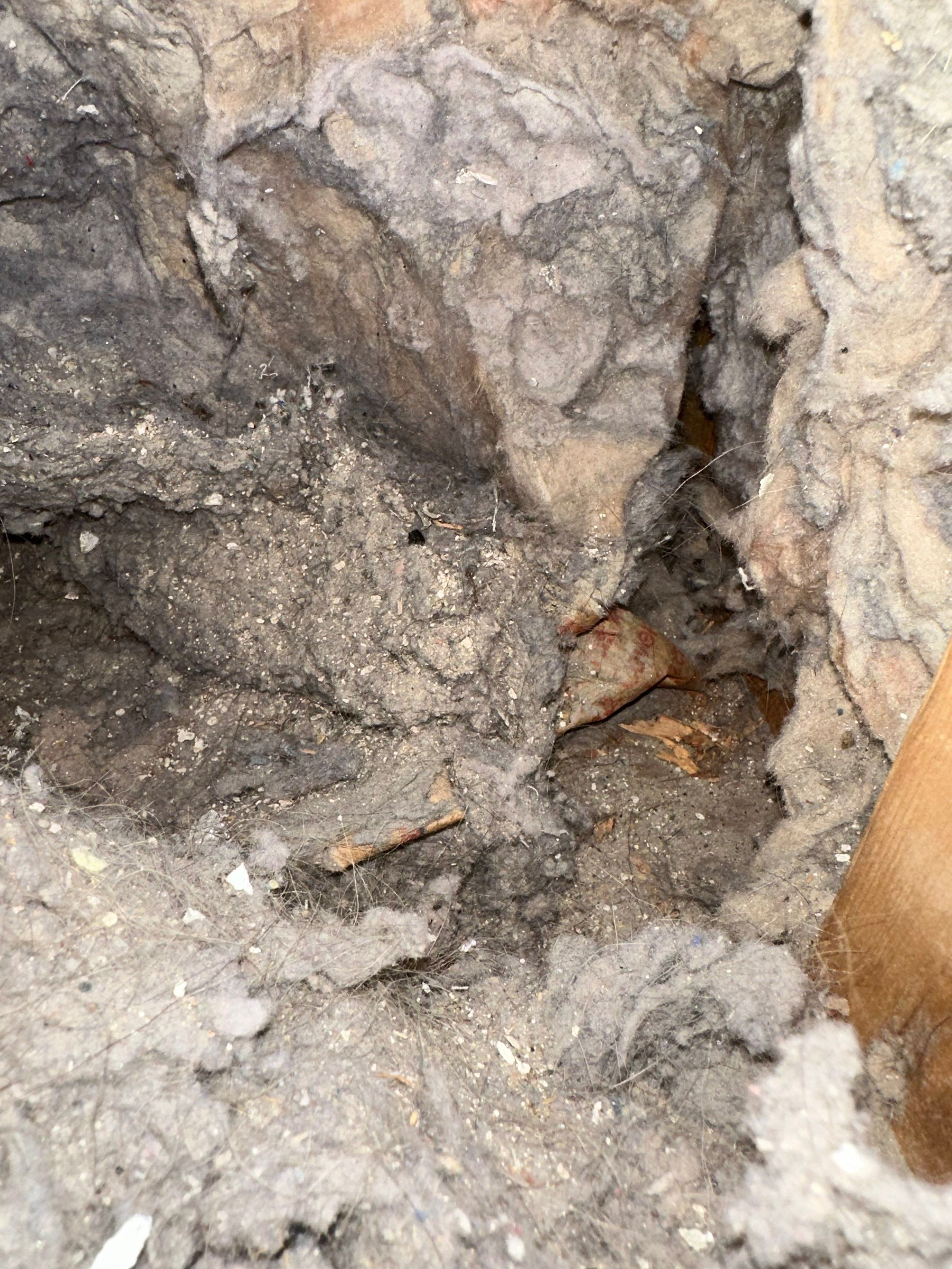 Dryer Vent Replacement by TMS Services