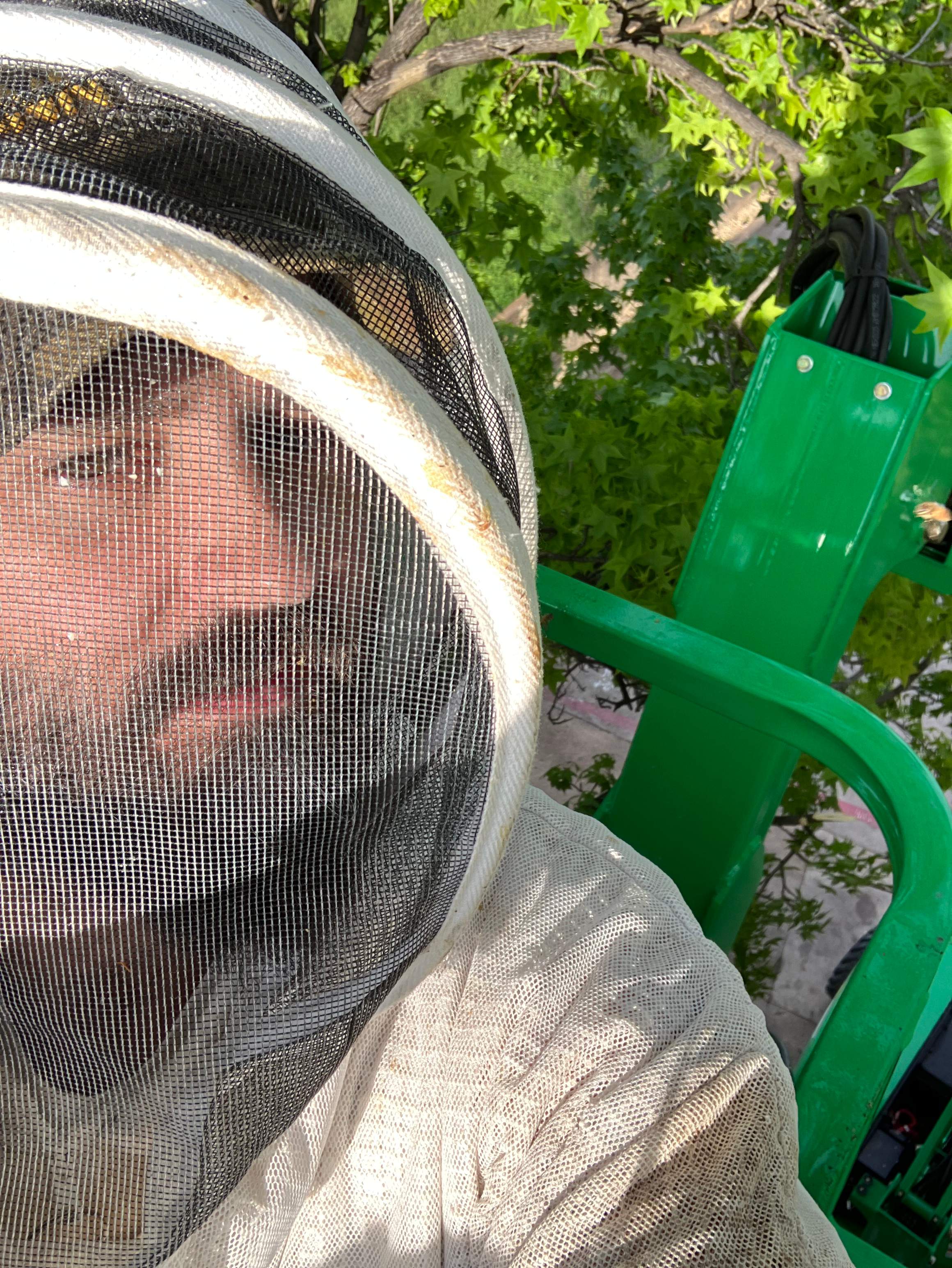 Commercial Roof by Rockwall Honey Bee Company