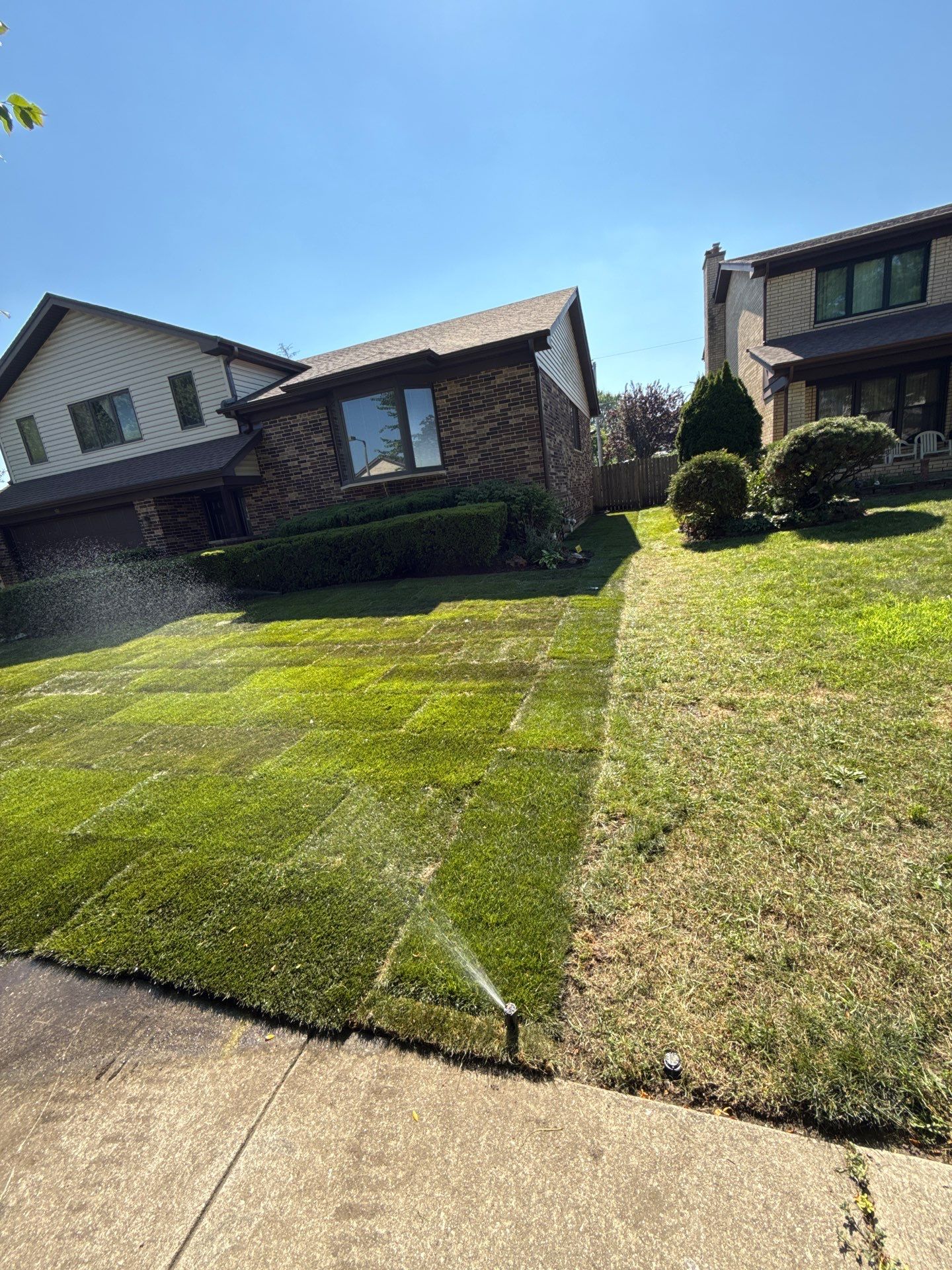 Al P. - Des Plaines, IL by A&N 