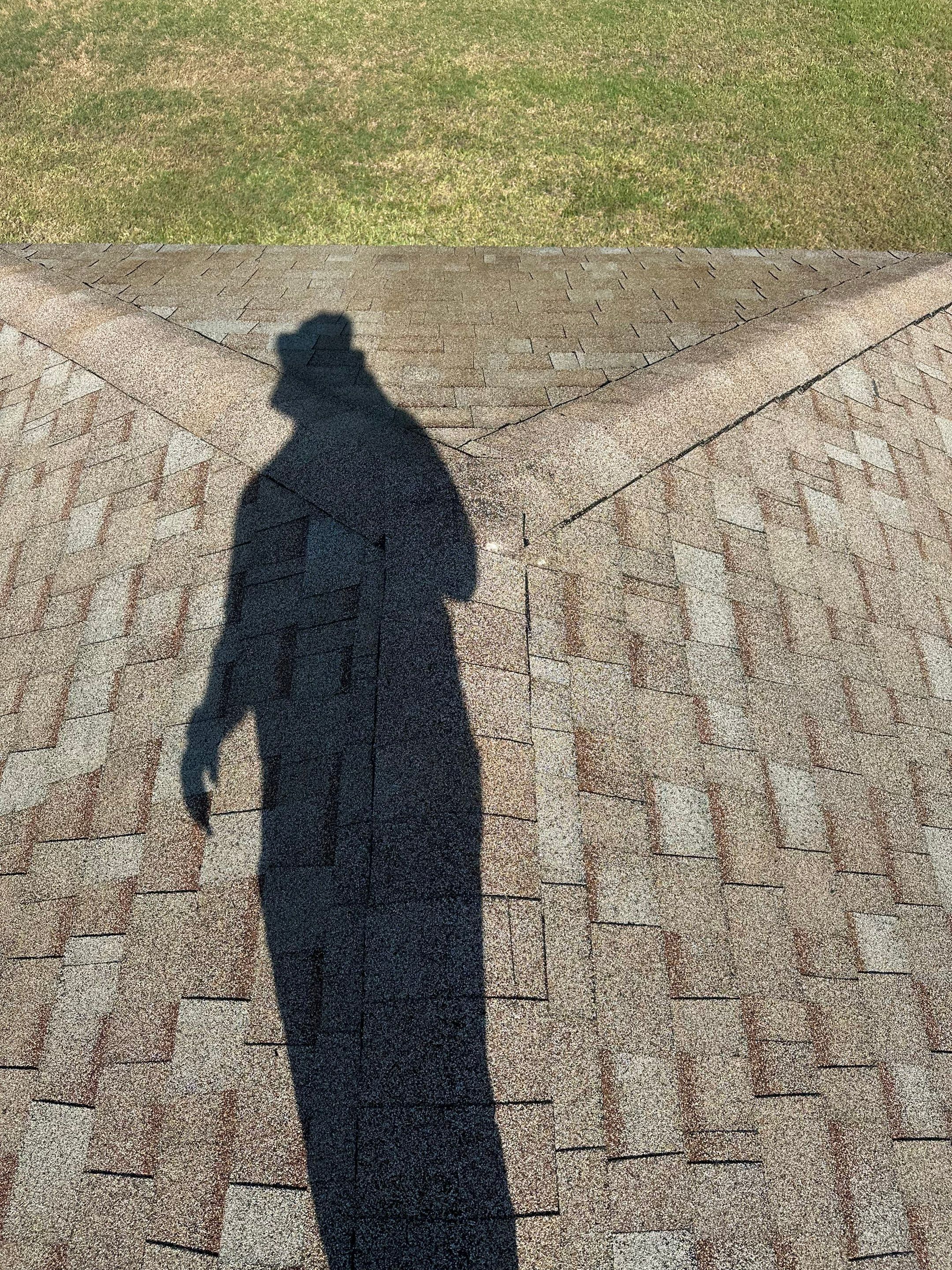 Asphalt Shingle Roof Soft Wash Cleaning & Concrete Pressure Washing in CopperStone Community, Parrish, FL by Sunshine AquaWash