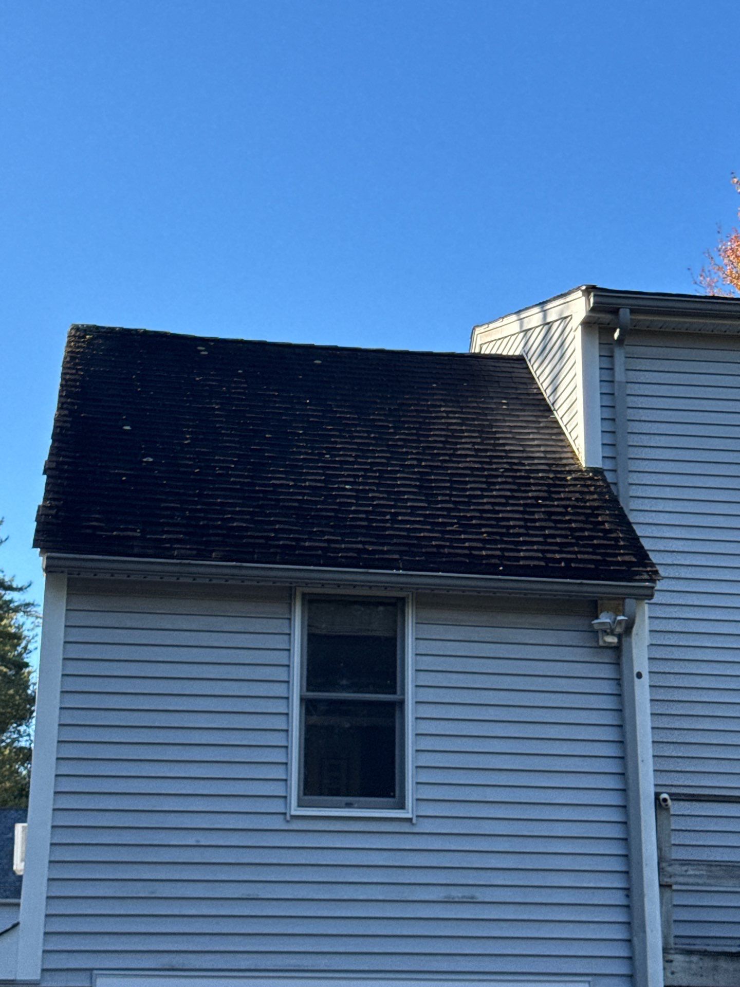 Roof Replacement by Mighty Dog Roofing of Greater Middlesex County