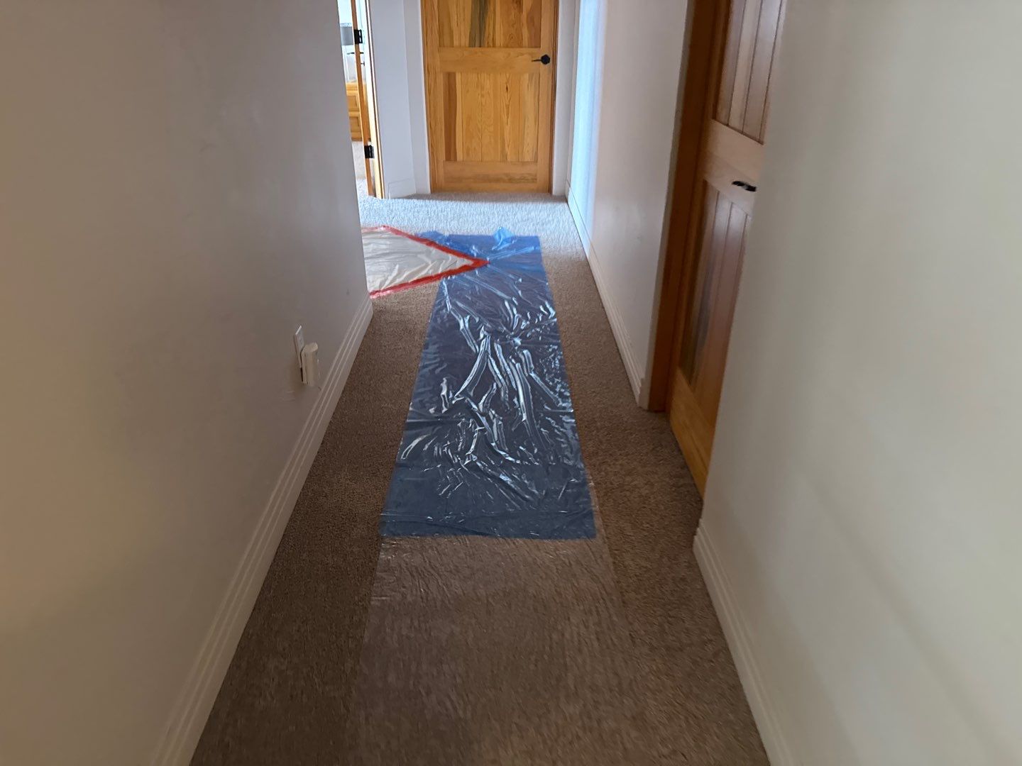 Mold Damage Project in Castle Rock by Accountable Home Services