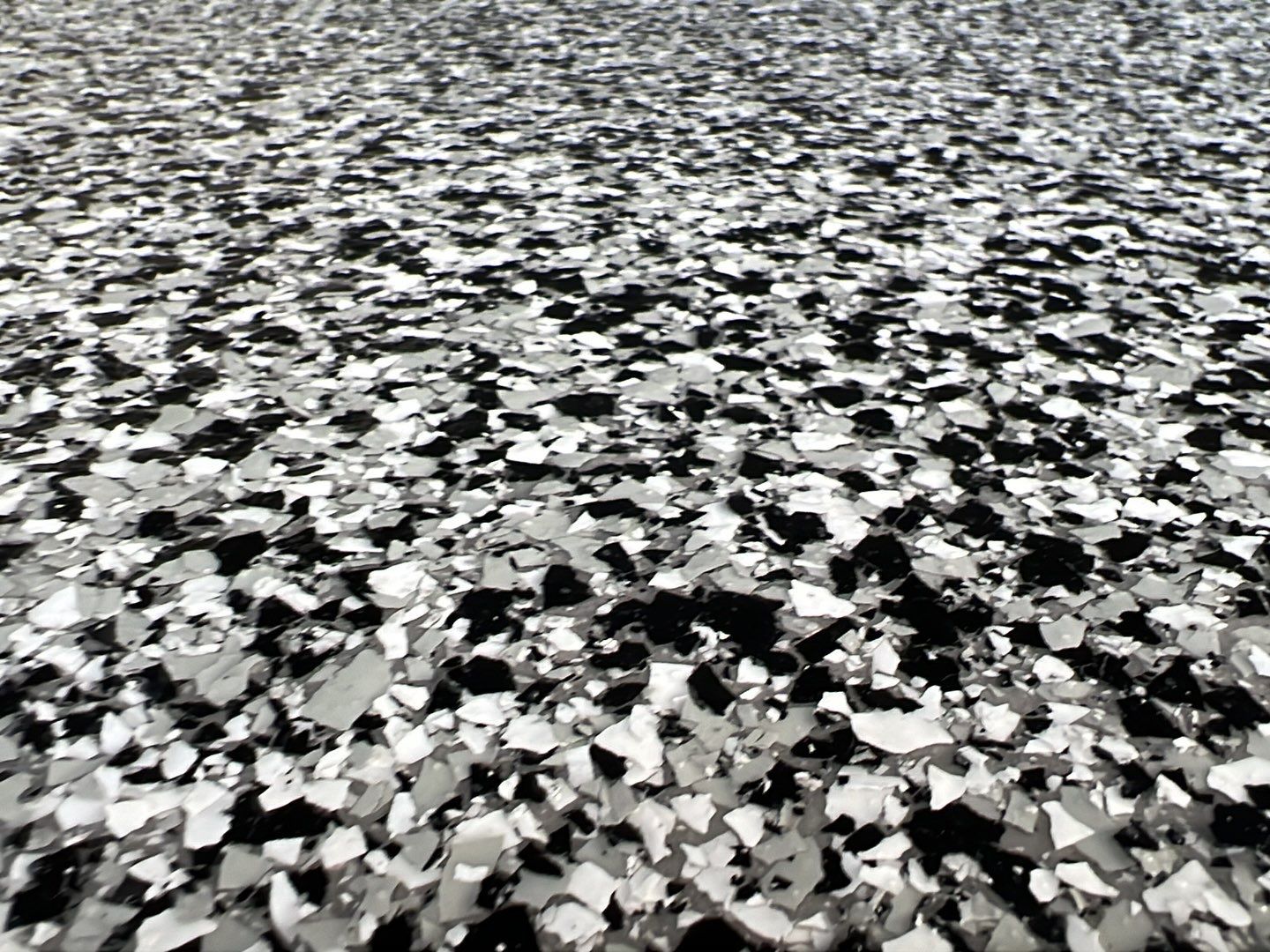 Domino Does It!  by Deese Elite Concrete Coatings