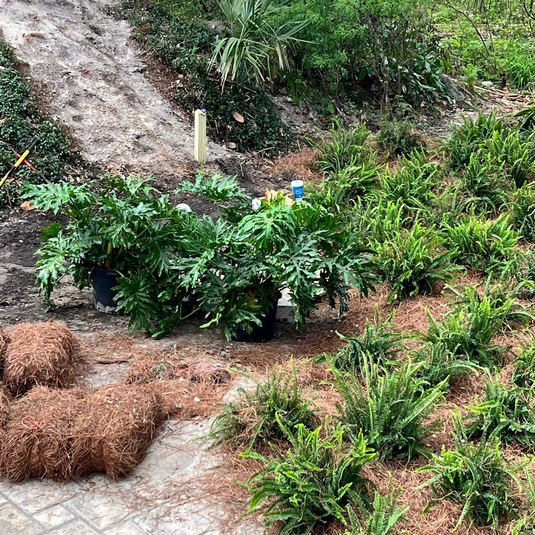 Landscape Install | Residence by ProGreen Services