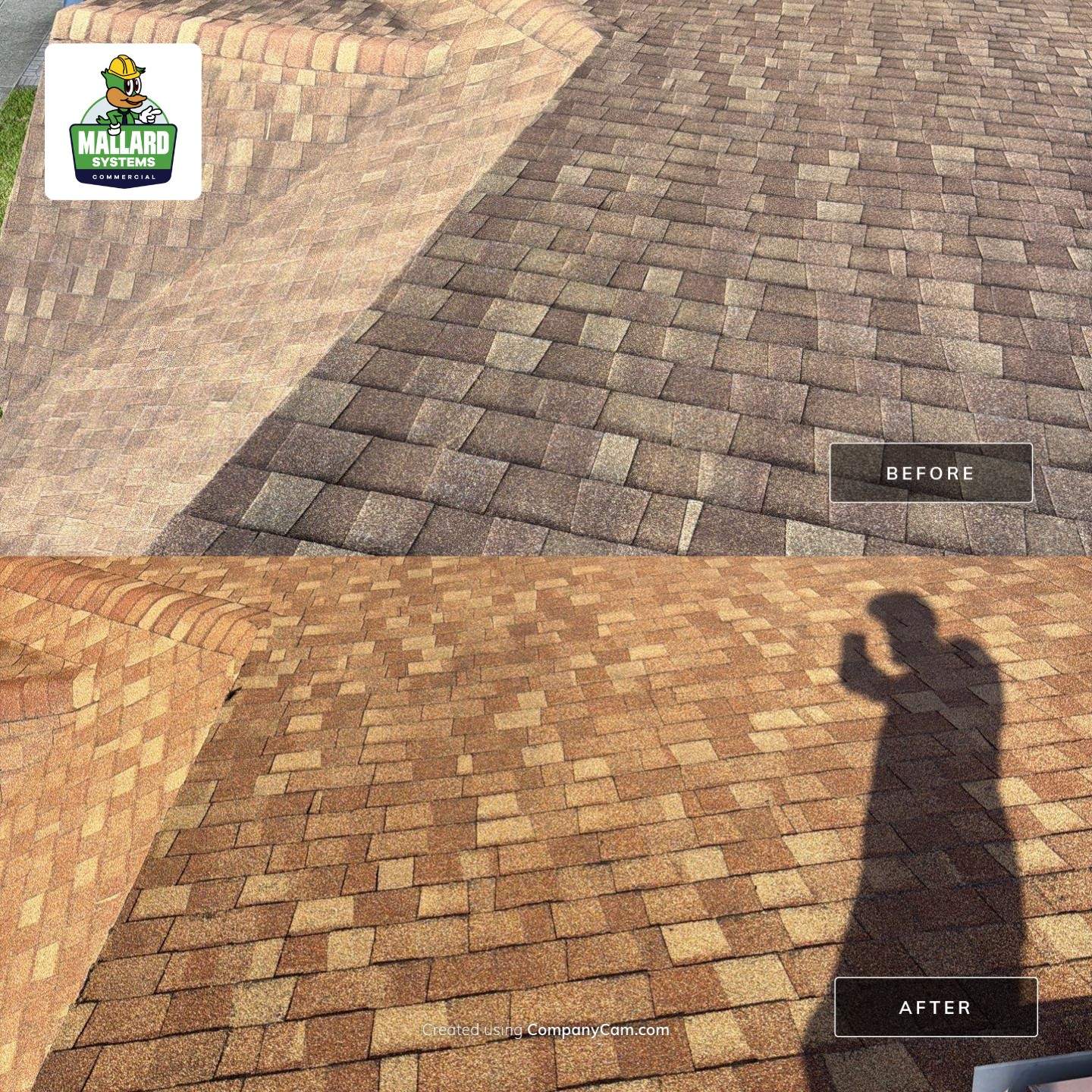 Residential Shingle Roof Cleaning in Waterford Lakes by Mallard Systems