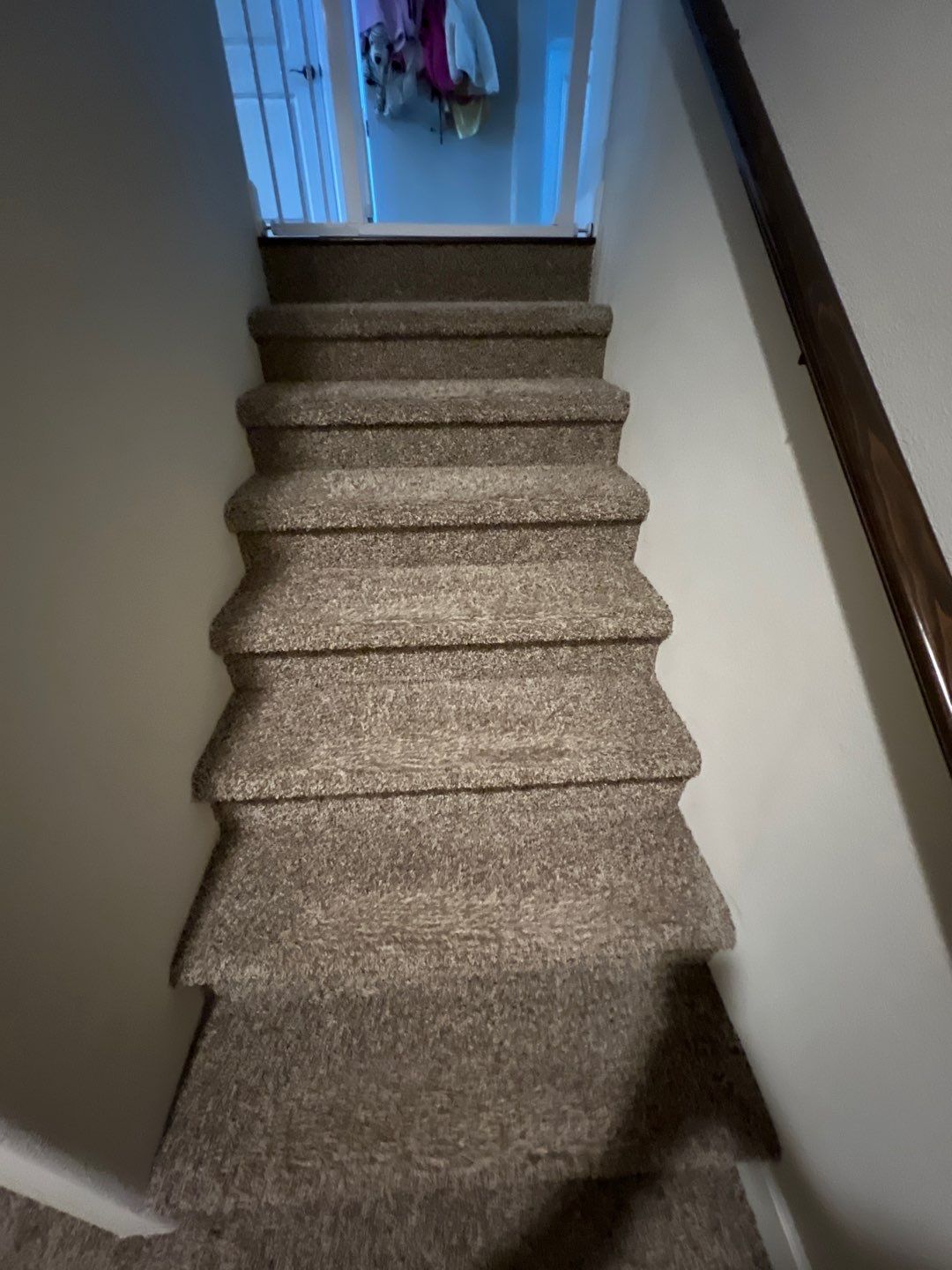 Carpet Cleaning in West Linn by Cloud 9 Professional Cleaning Services