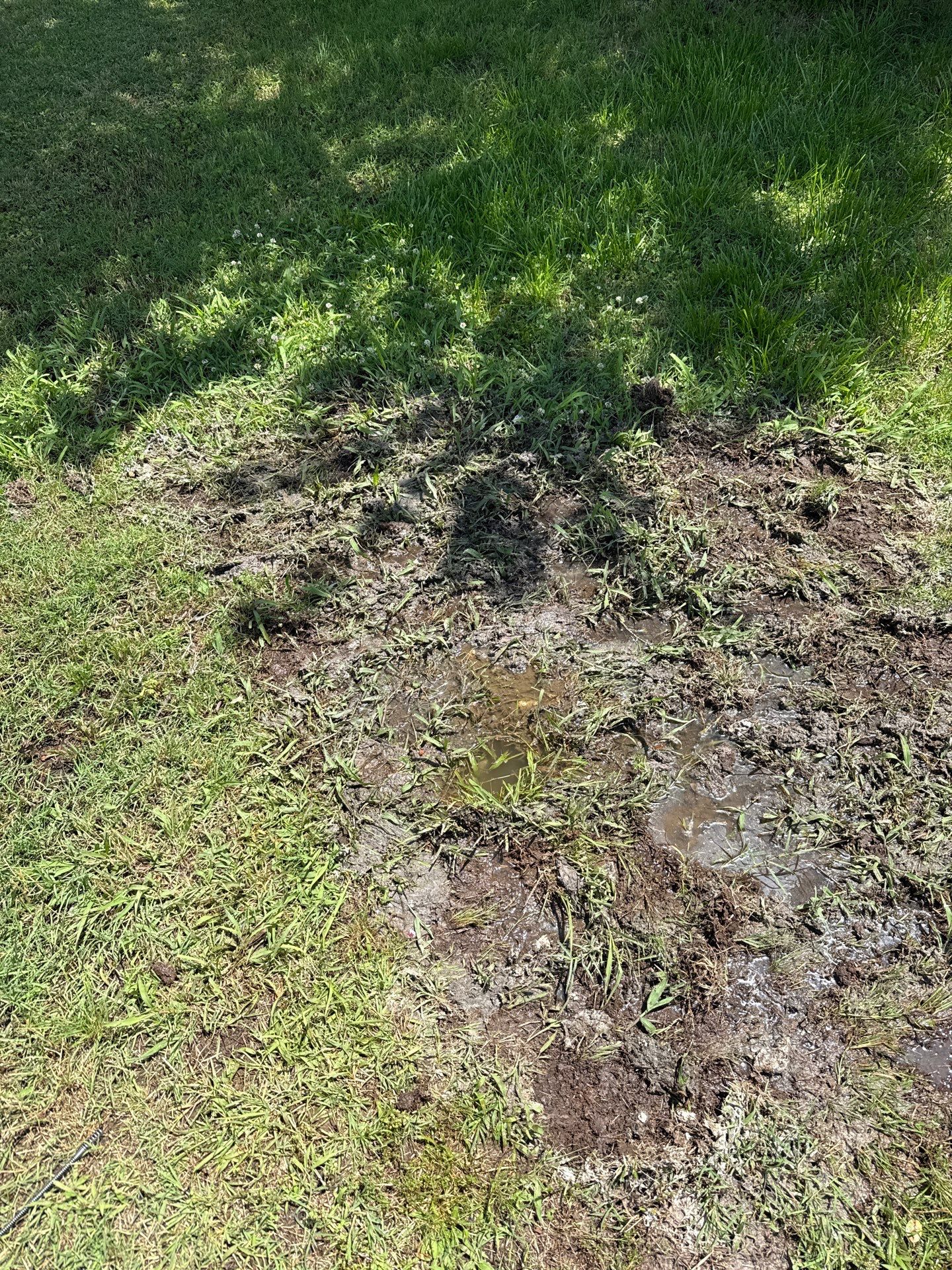Project in Midwest City by PRO-ROOTER