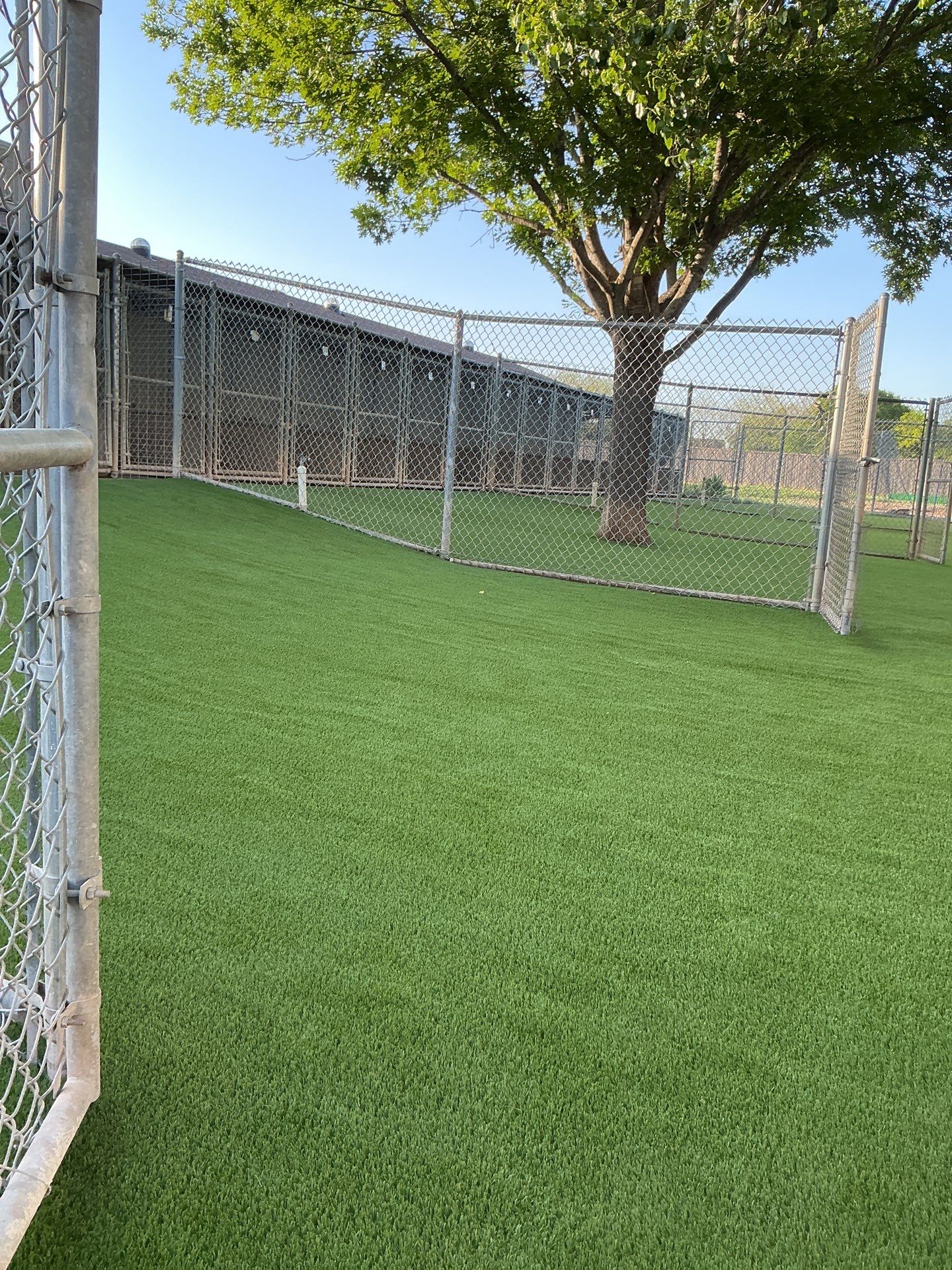 Synthetic Turf Installation using Pet Turf by Turf Concepts