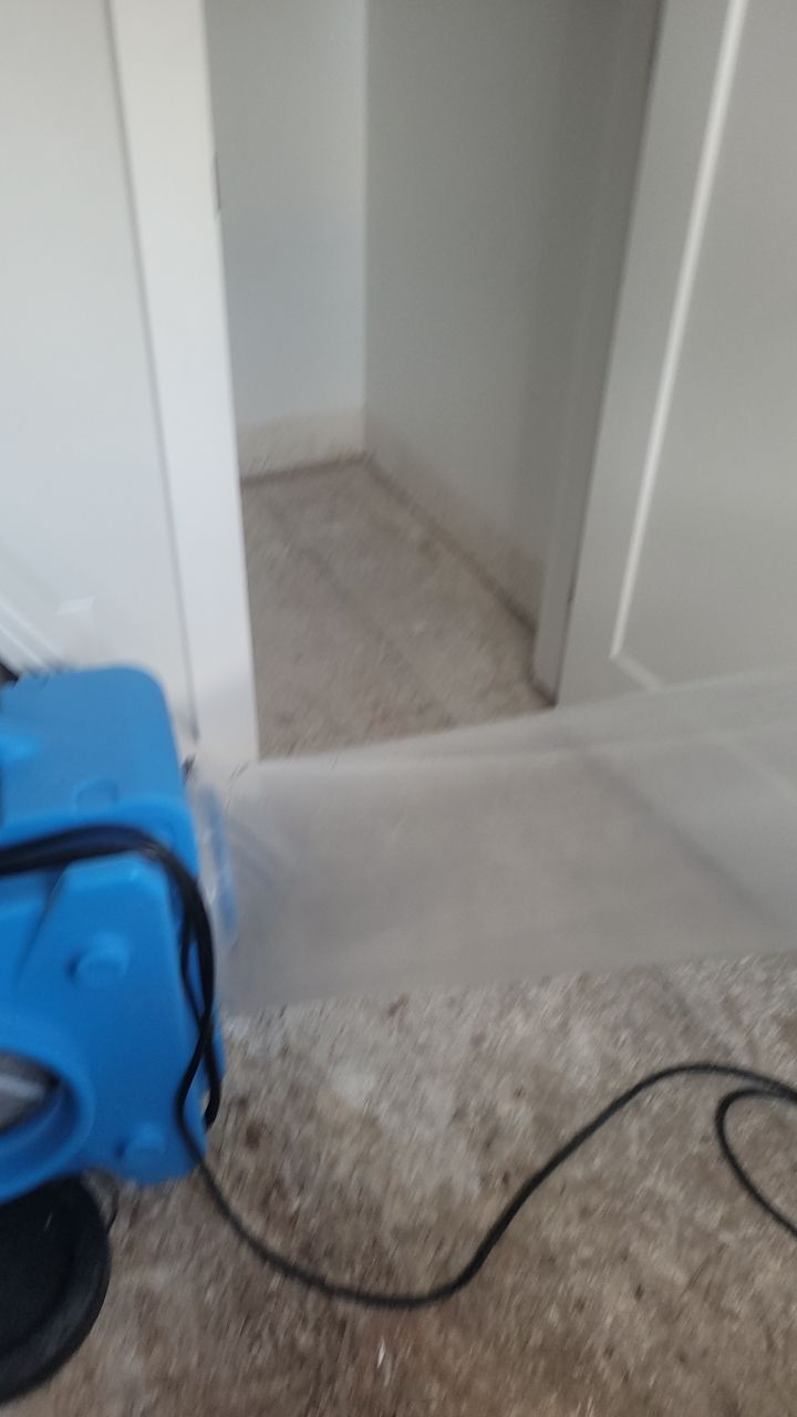 Mold Remediation  by Accountable Home Services