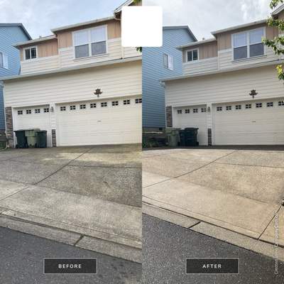 Our Work