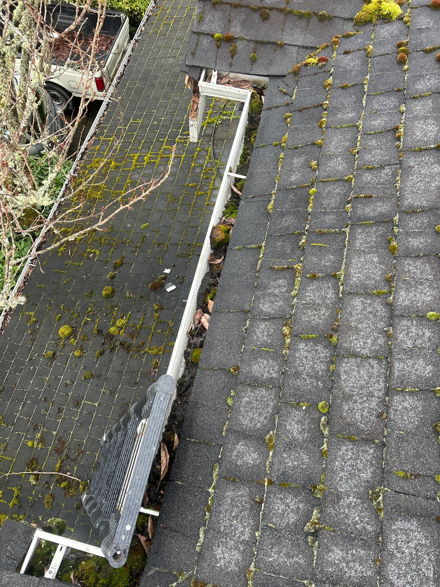 Project in Bellevue by Connolly Construction Company