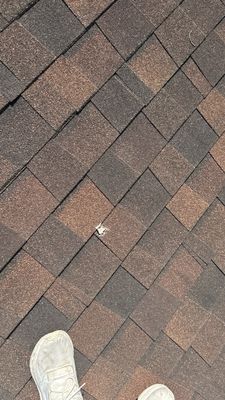 Turtle Shell gutter protection installation in Villa Park, IL 60181, photograph 9
