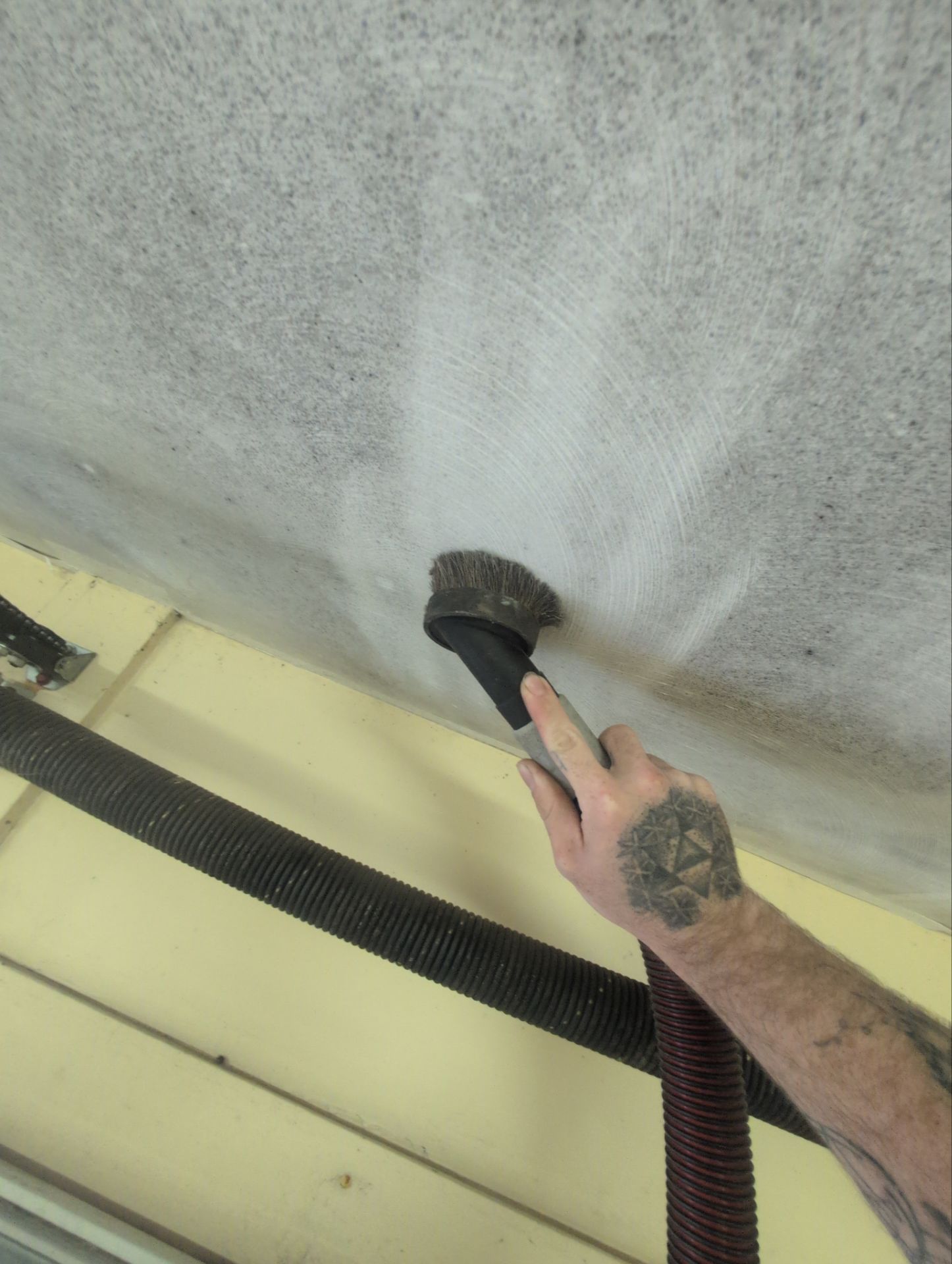 Mold remediation in Wheeling WV by Home Environment Solutions