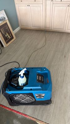 Mold Remediation — Marco Island, FL