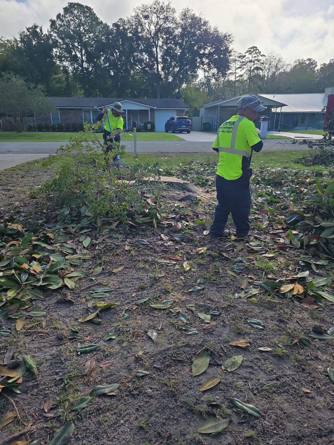 Tree Removal & Sod Install | Residential by ProGreen Services