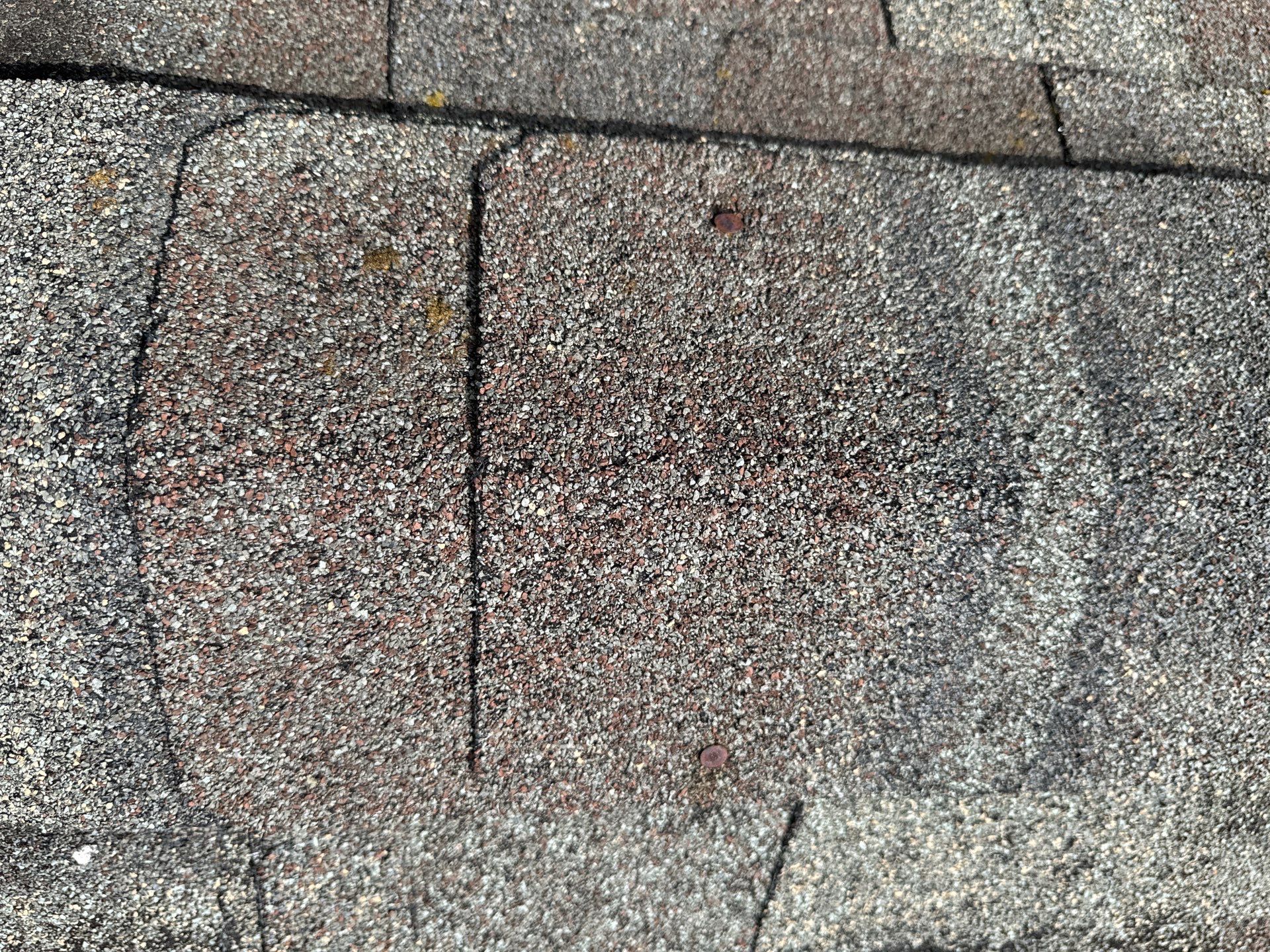 Project in Seattle by Connolly Construction Company