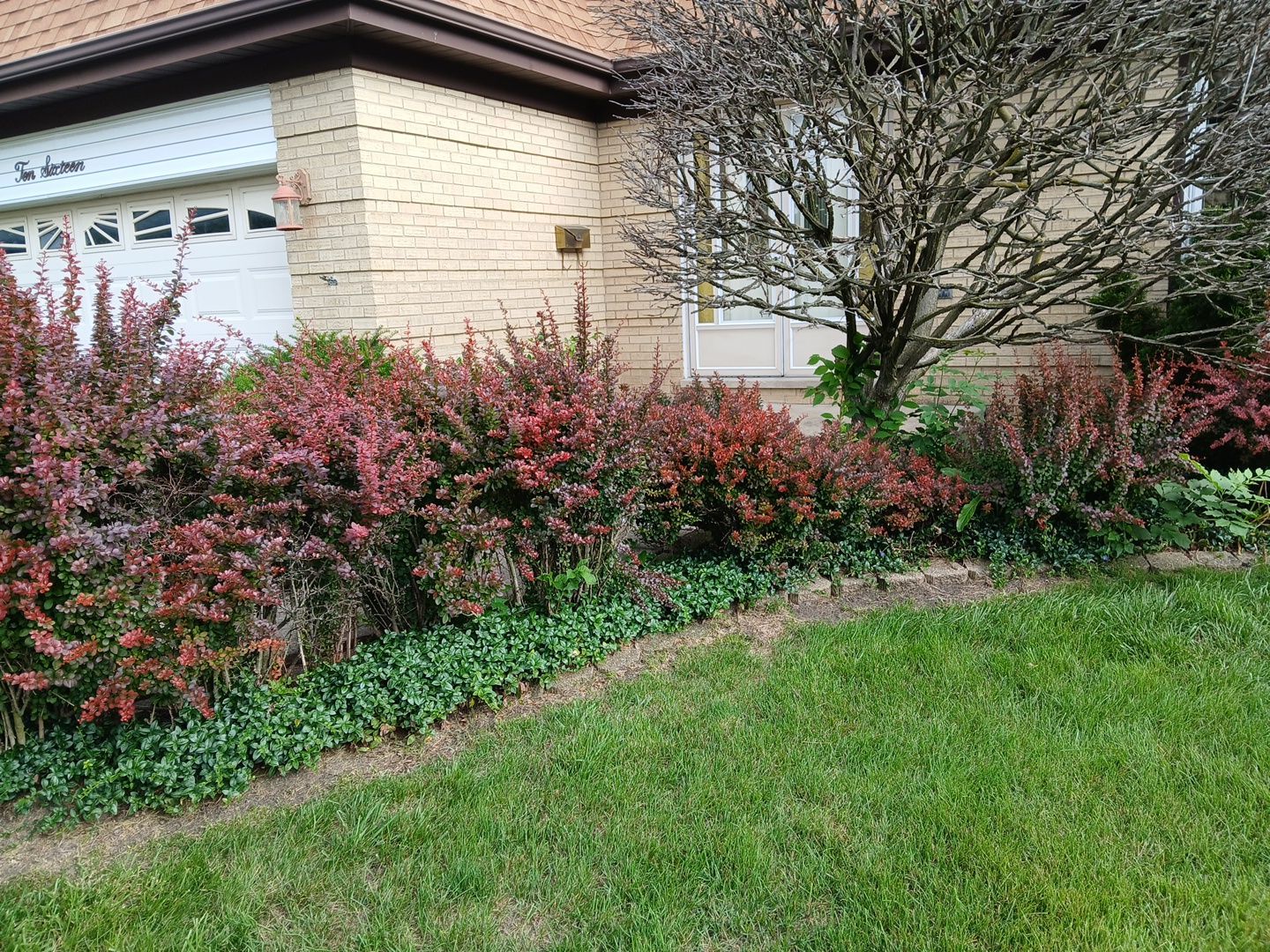 Andrew L. - Arlington Heights, IL by A&N