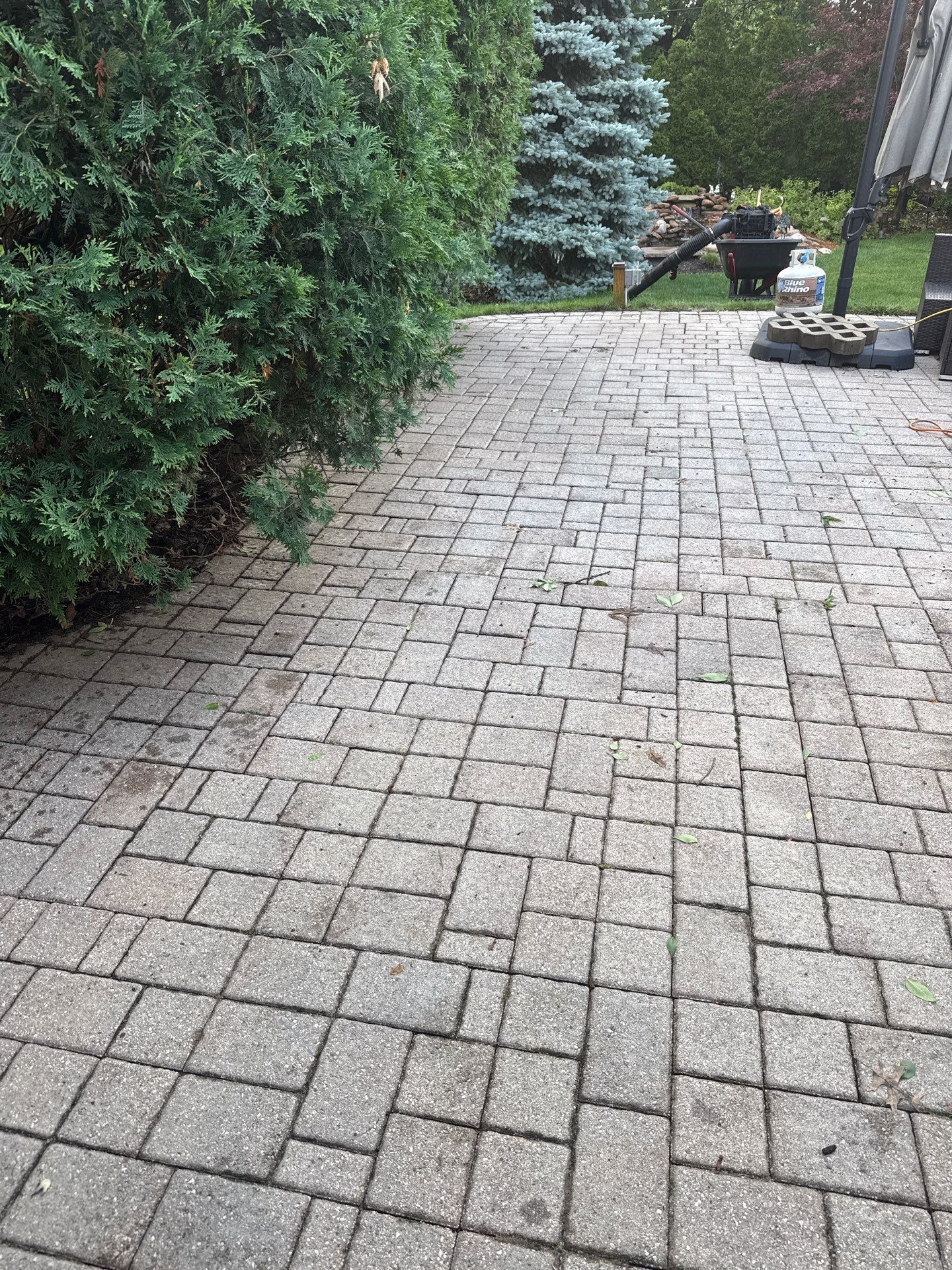 Brian M. - Mount Prospect, IL by A&N