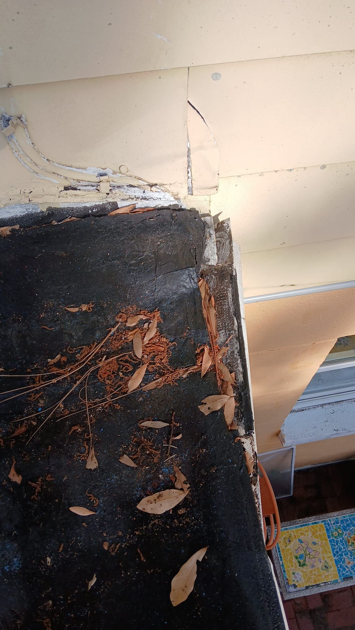 Project in St. Petersburg 33702 by Mitchell Roofing Company LLC 