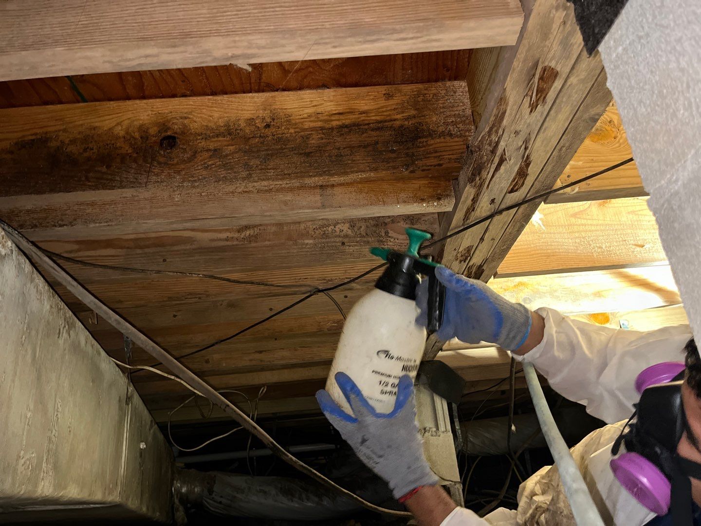 Mold Remediation, Friable Abatement, Non ACM Demo and Crawlspace by EAS Environmental, LLC.