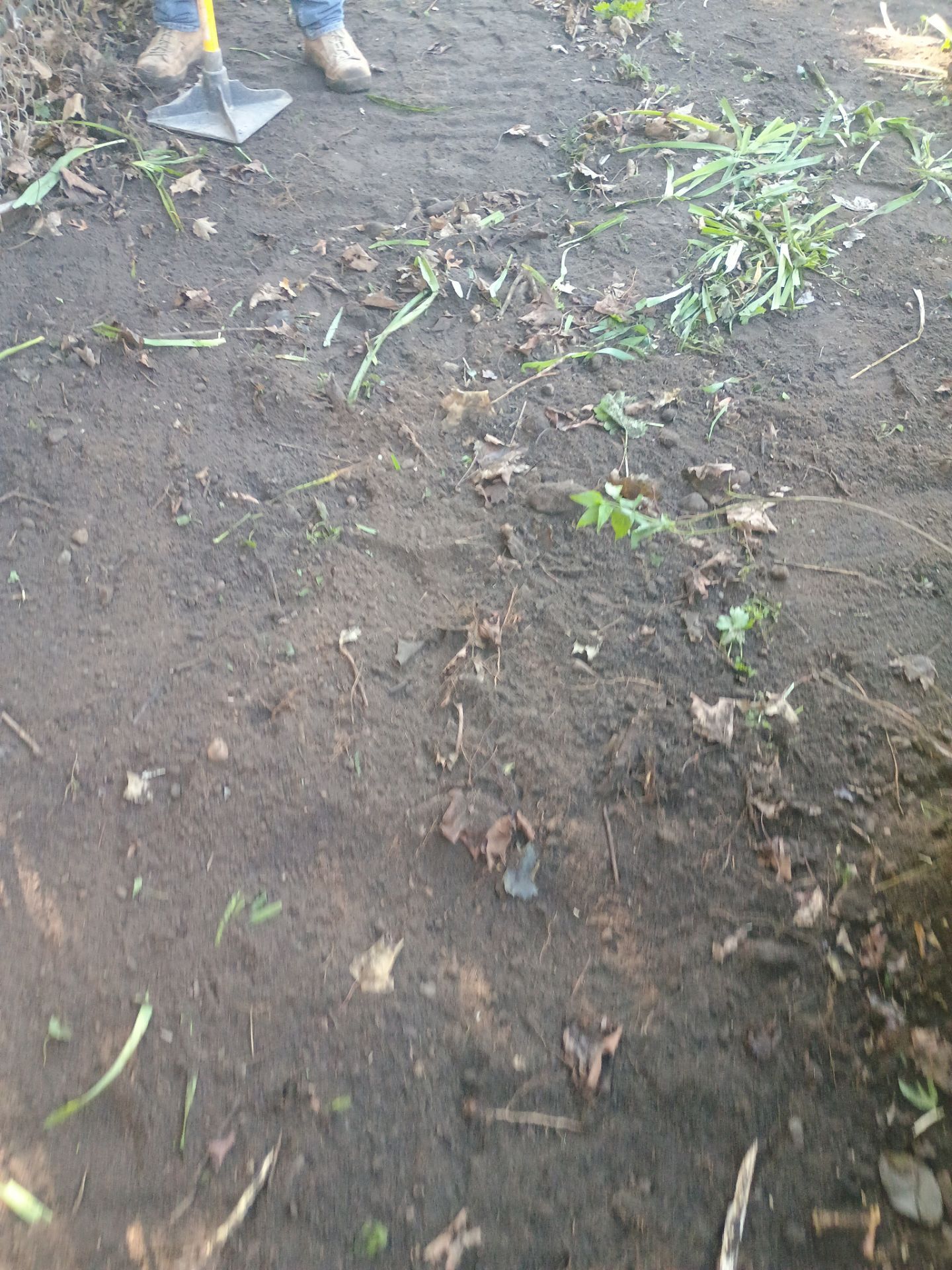 A French Drain for Jeniffer by Waterproofing Northeast