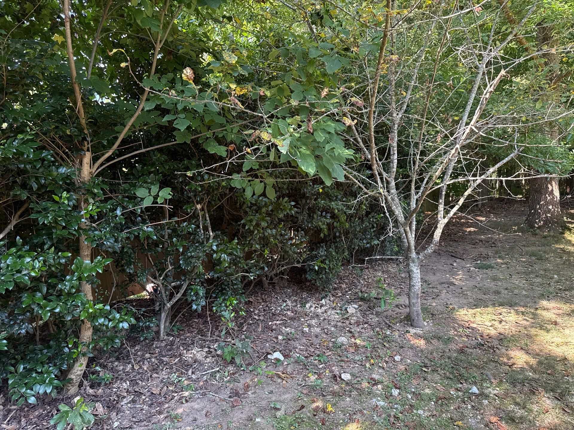 Project in Mint Hill by Badger Hauling