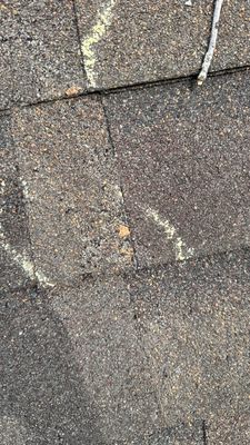 Turtle Shell gutter protection installation in Naperville, IL 60563, photograph 32