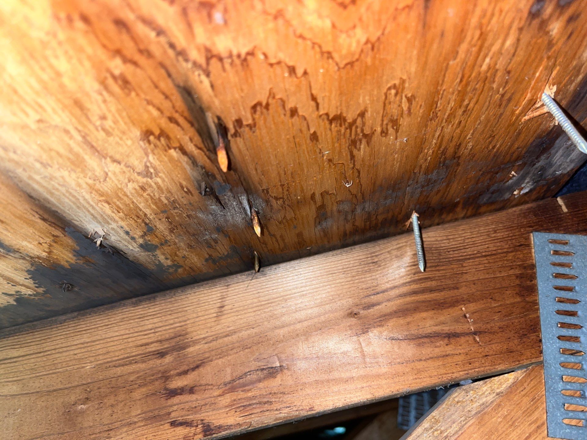 Addressing Attic Mold and Upgrading Insulation in Cranberry Township, PA 16066 by Home Environment Solutions