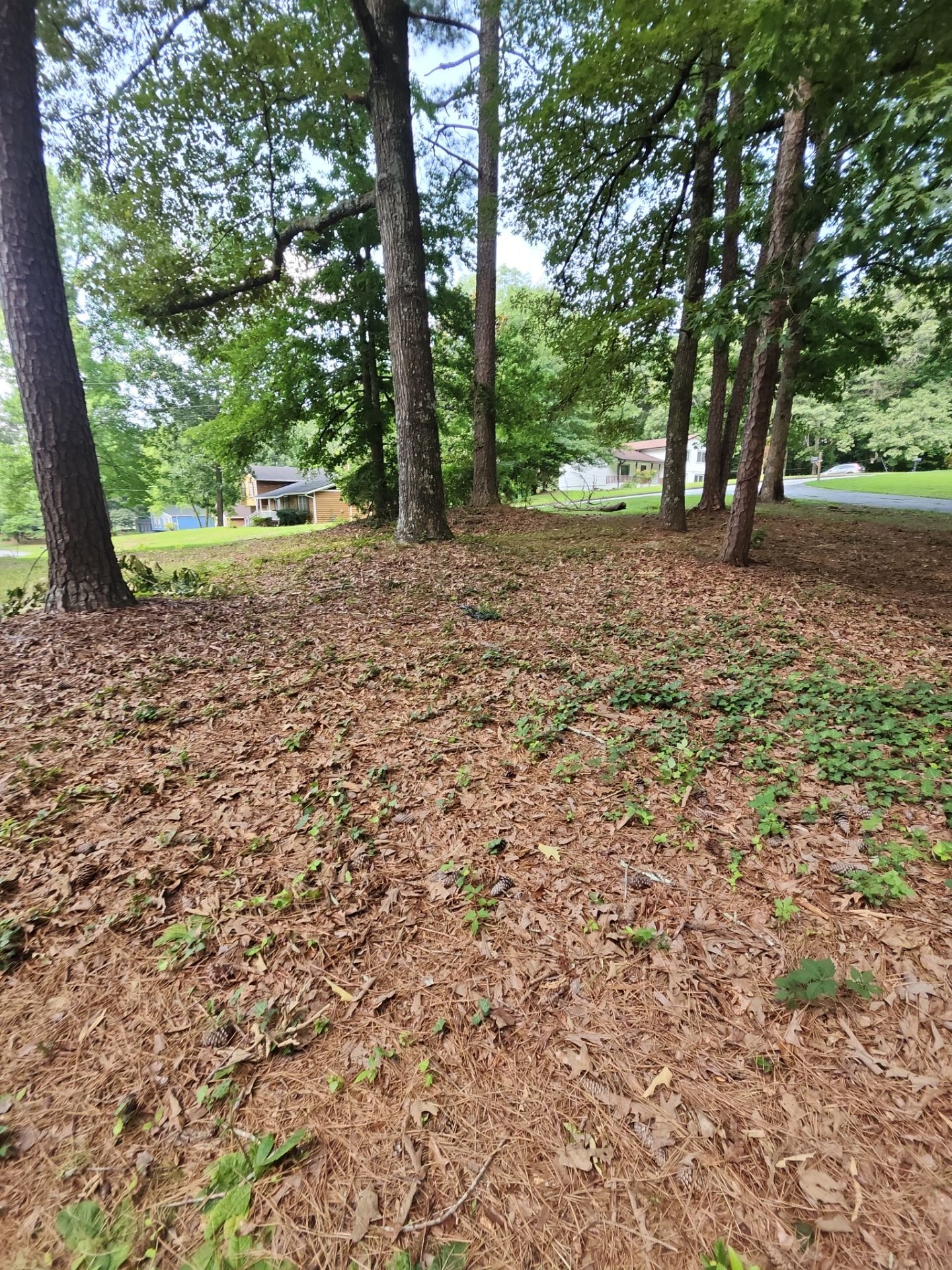 Project in Riverdale, GA by Task Masters Handyman Services, LLC