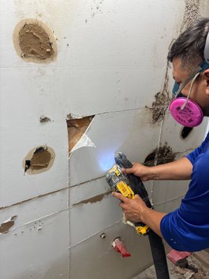 Mold Remediation — Bonita Springs, FL