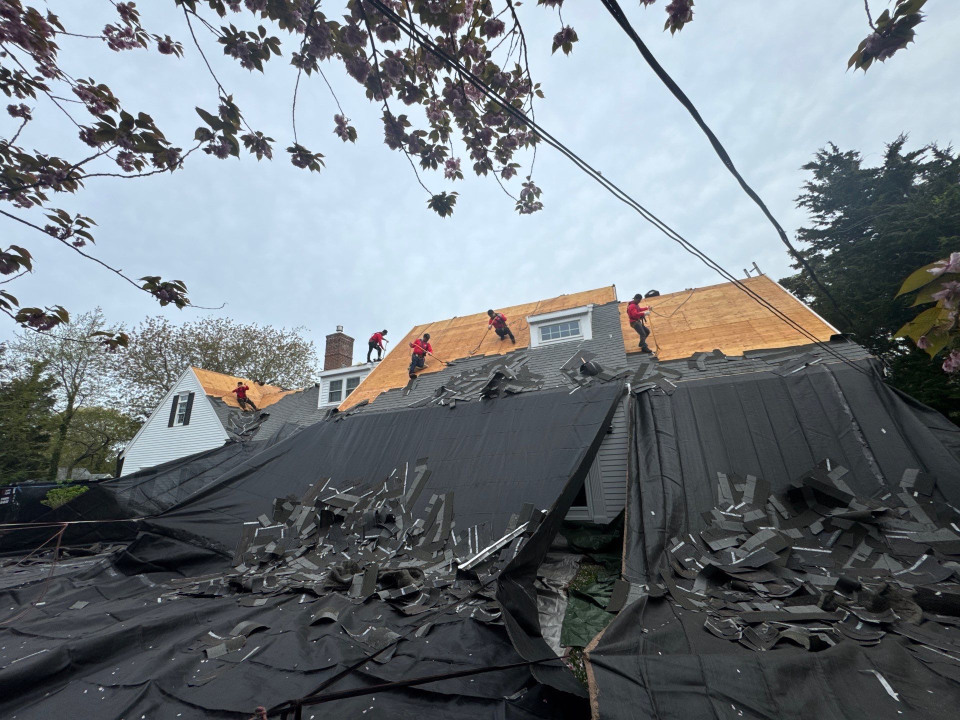 Tyee Roofing Replacement  by Tyee Construction Corp