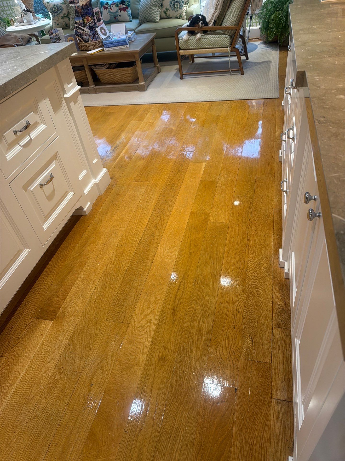 House Cleaning and Maid Service in Dunthorpe Portland by Cloud 9 Professional Cleaning Services