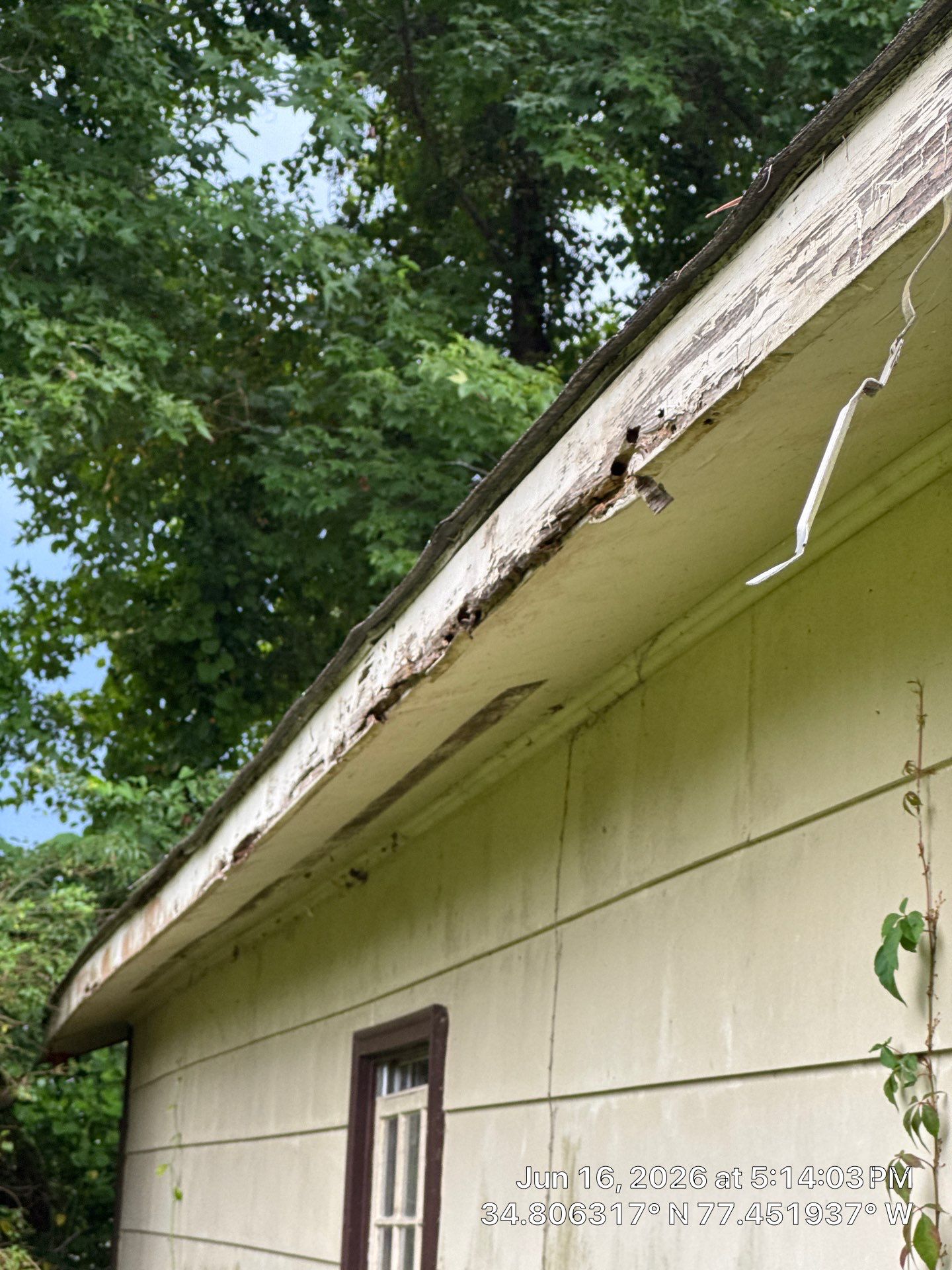 Comprehensive Asphalt Shingle Roof Inspection and Damage Assessment in Jacksonville by North Carolina Roofs
