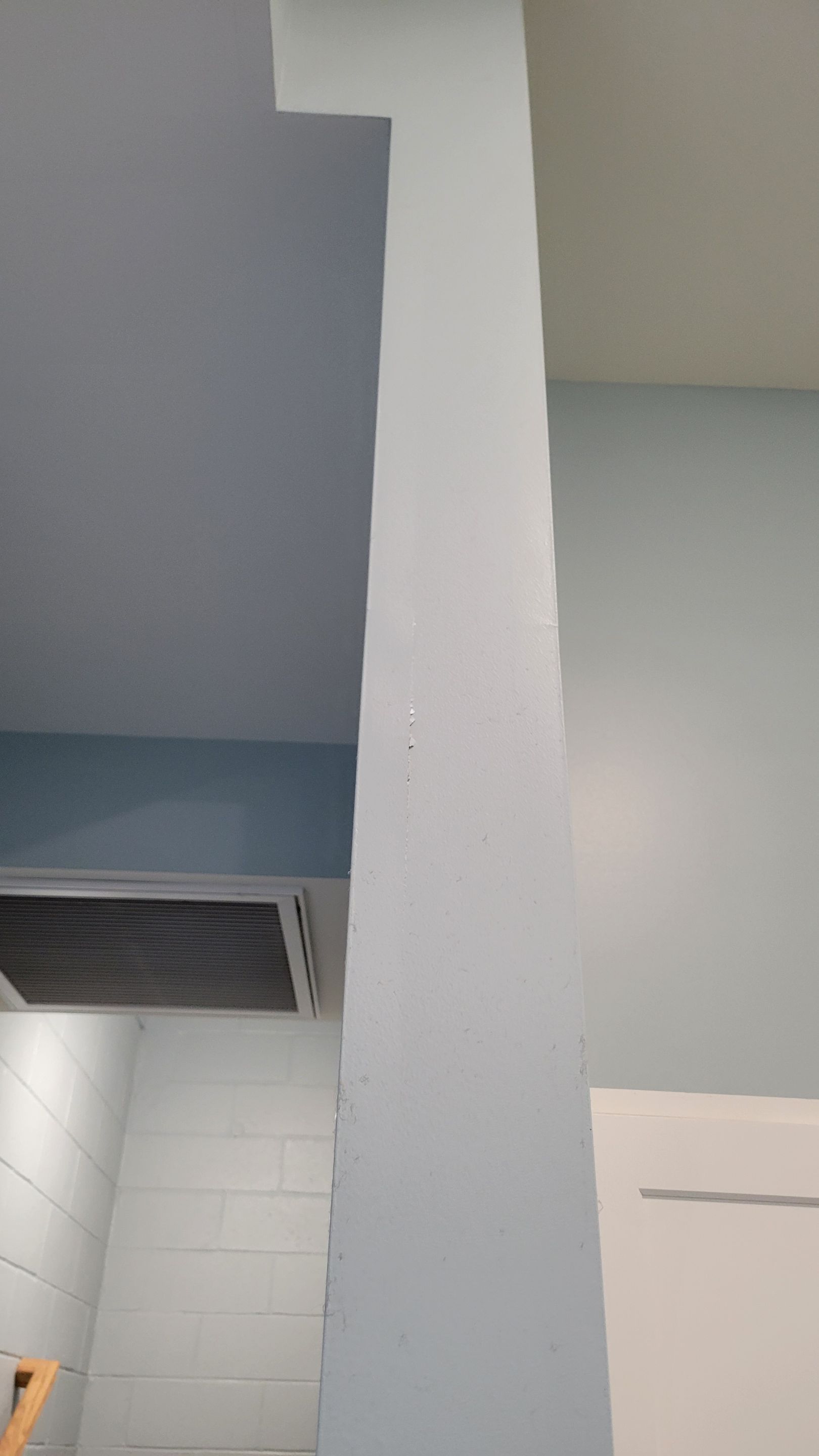 Kennel Floor Coating and Wall Painting using Penntek by Spectrum Painting, LLC