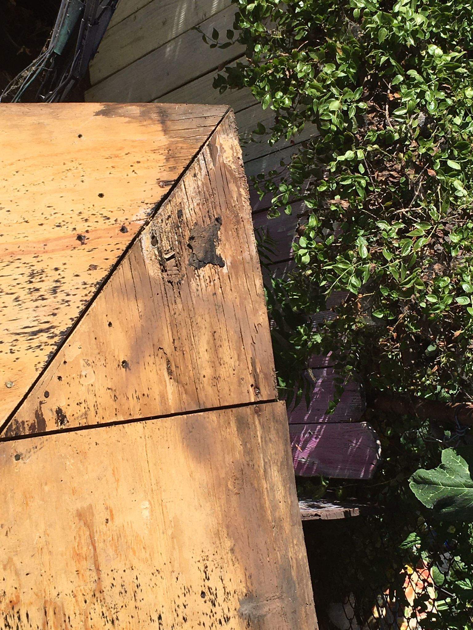 Roof Replacement - Alhambra, CA 91801 by Epic Roof Replacement