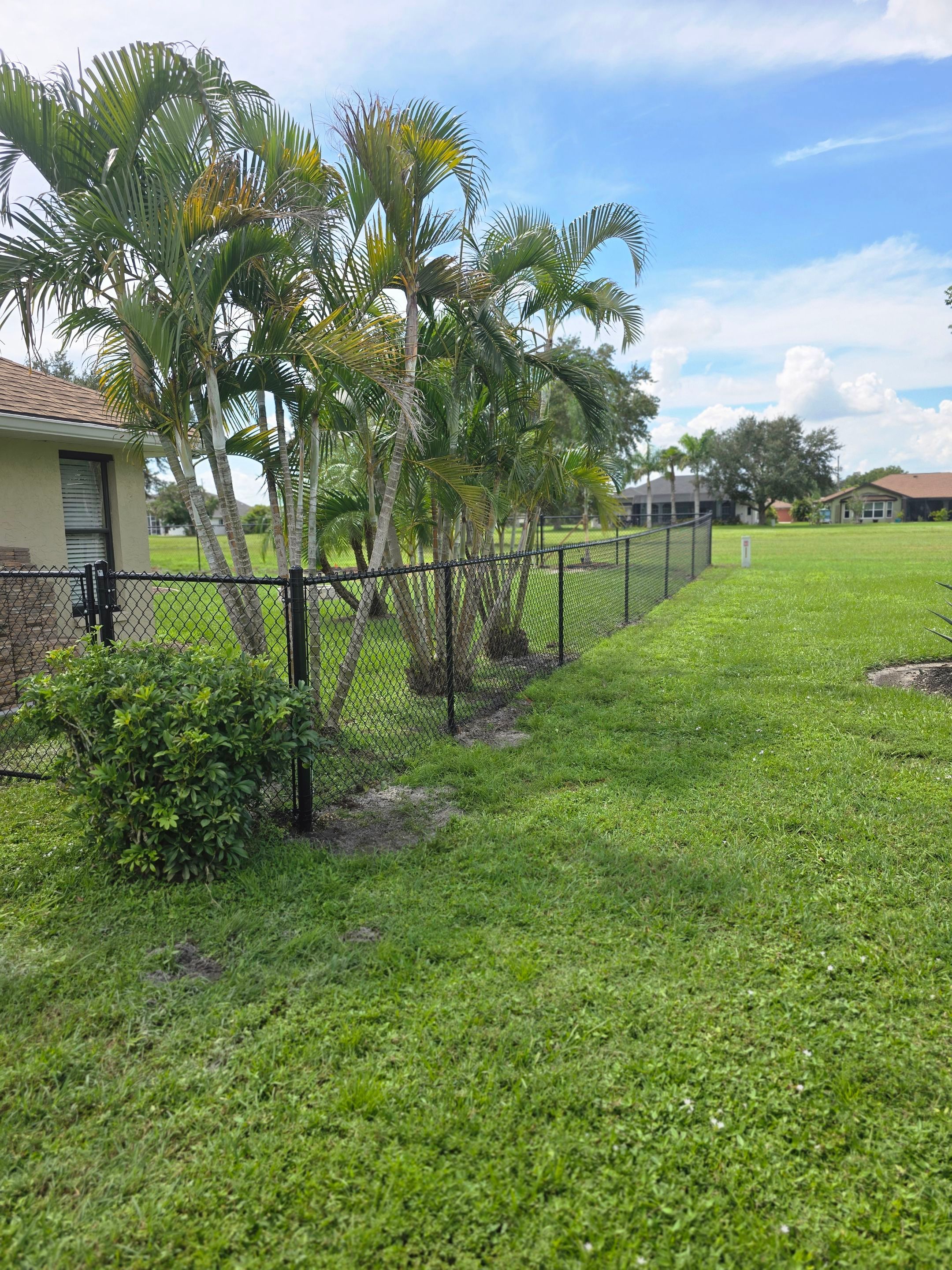 Black Vinyl-Coated Chain Link Fence Installation in Punta Gorda by True Fence LLC