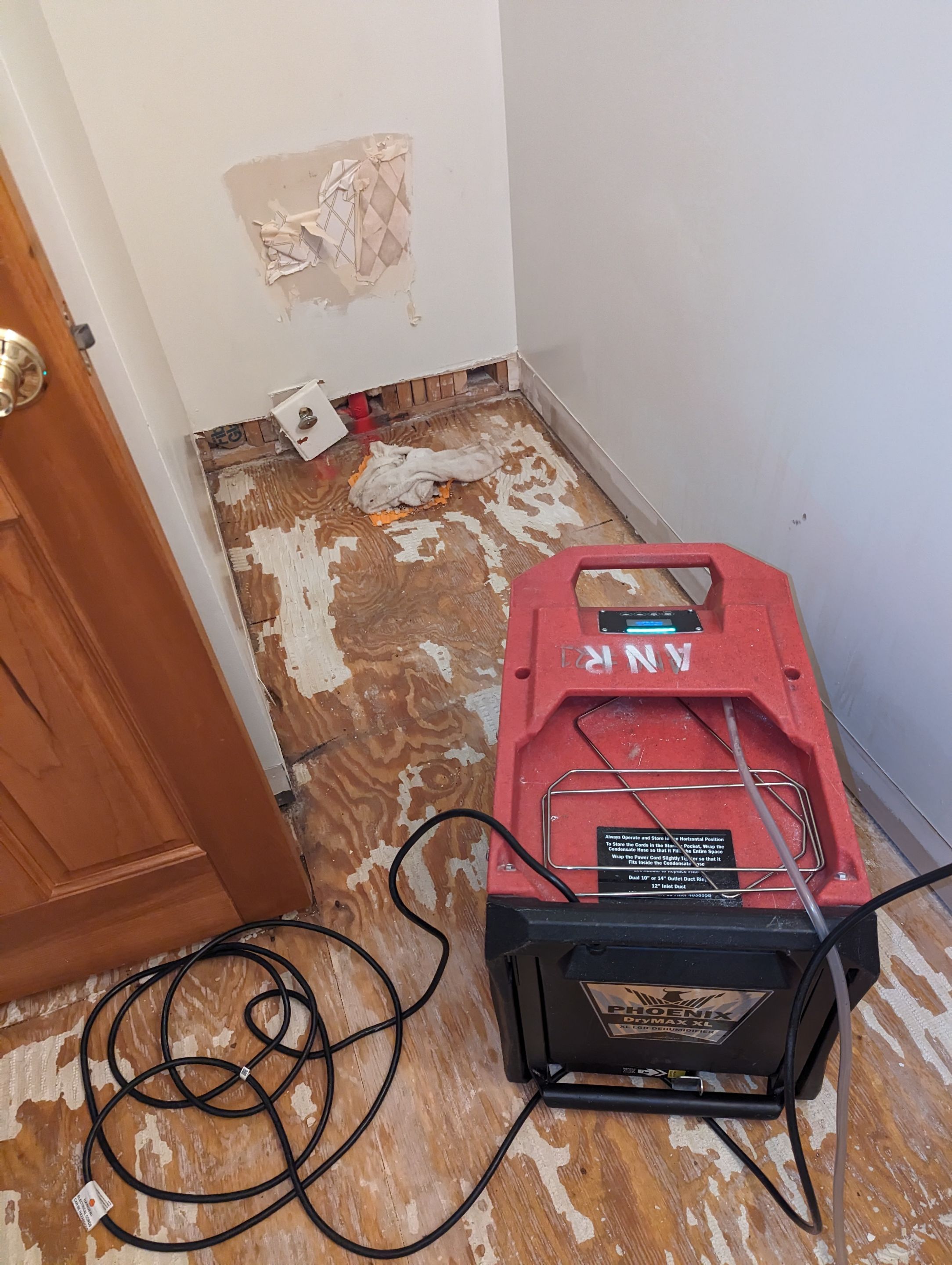 Mold Remediation and Water Mitigation in Louisville, KY by ANR Restoration