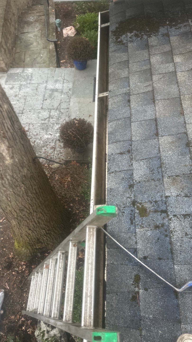 Bronx Roof and Gutter Cleaning by Above All Gutters