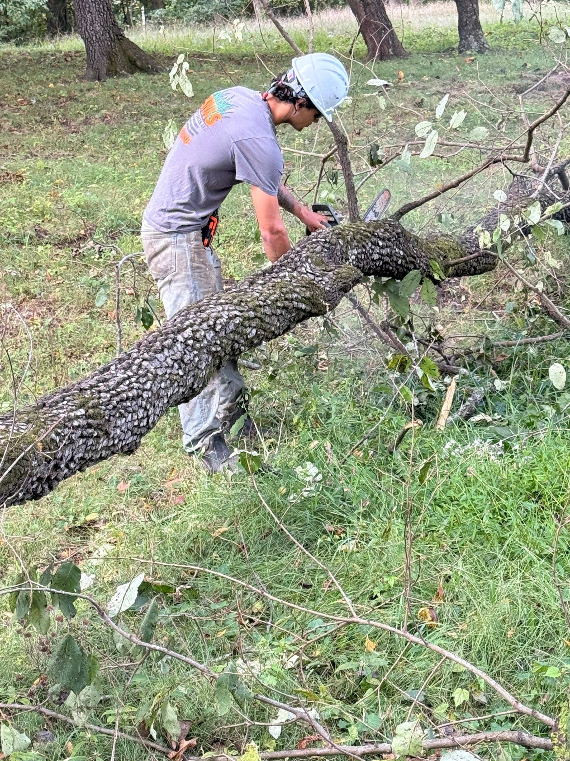 Residential Site Preparation and Land Clearing in Thomasville by Four Oaks Grading and Septic, LLC