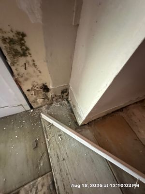 Sewage Backup Cleanup — Marco Island, FL