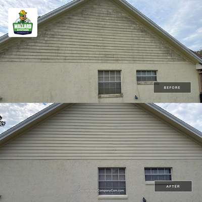 Residential Roof Cleaning and Exterior House Wash in Avalon Park