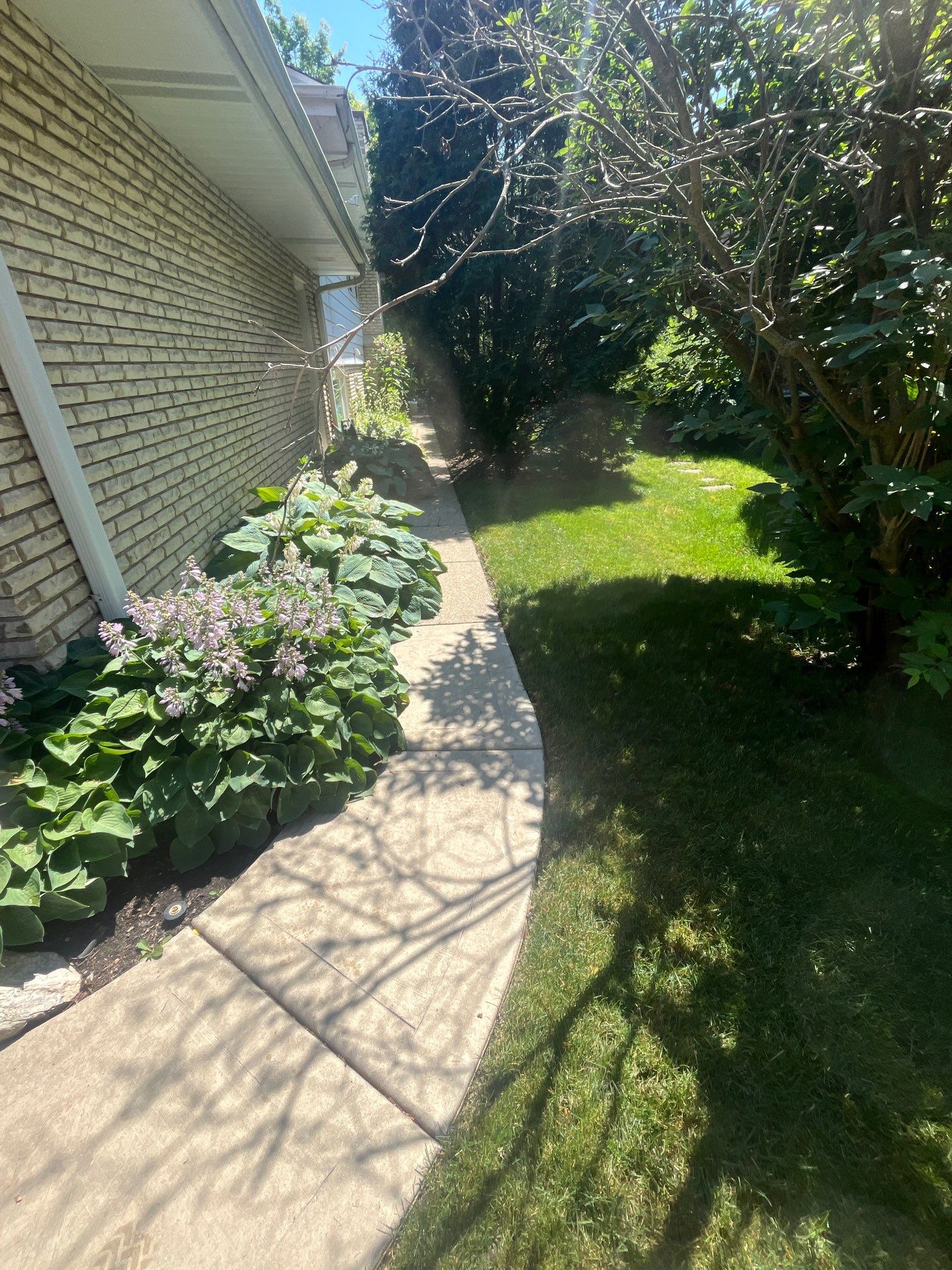 concrete power washing using Algaecide, soft wash soap by Northern Power Washing LLC.
