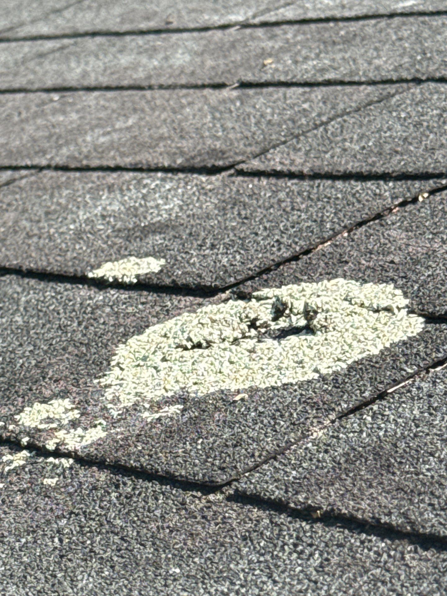 Project in Richmond by Roof Maxx of Midlothian