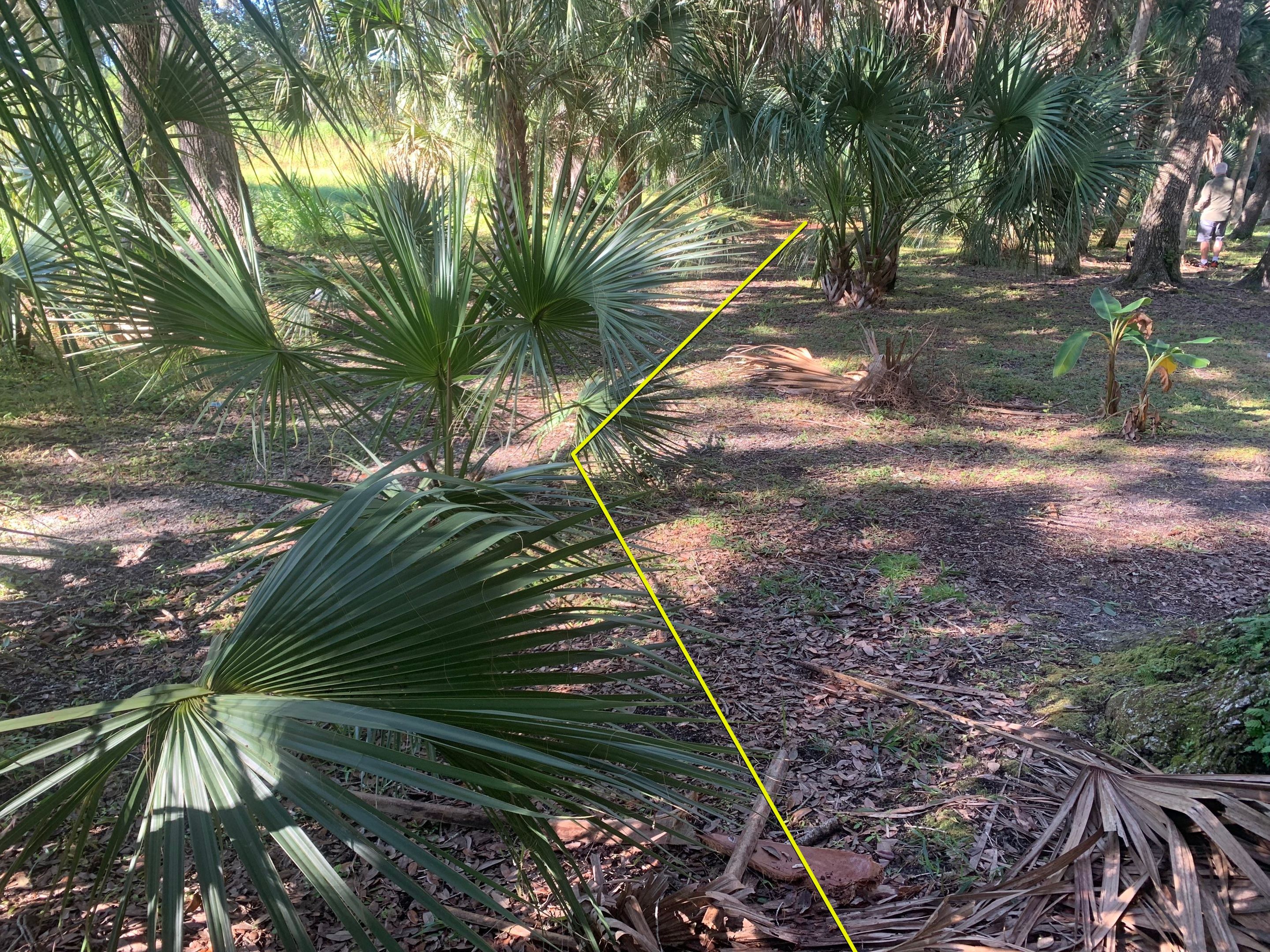 Sarasota, FL 4ft. Tall 3-Rail Aluminum Fence by Asap fence and gates, LLC