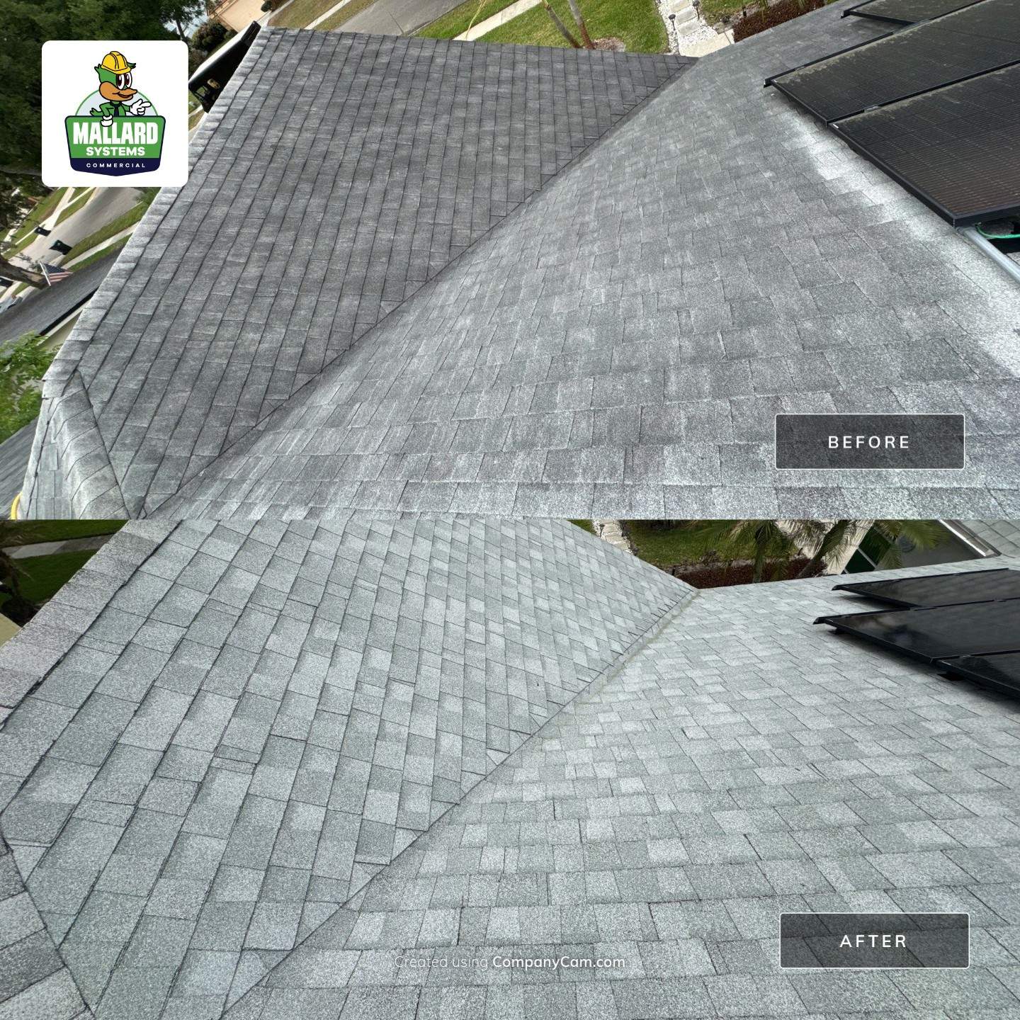 Roof & Solar Panel Cleaning by Mallard Systems