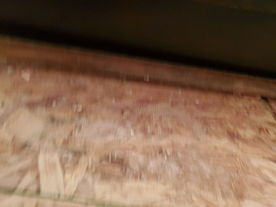 From Flooded to Flawless: A Holly Springs Bathroom Restoration by Elite Remodeling and Design LLC