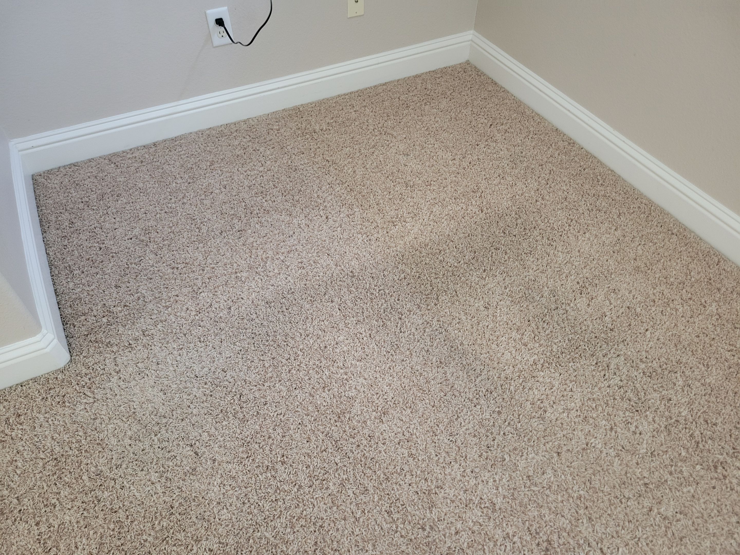 Black Staining, Carpet Cleaning by Ardent Carpet Restore LLC